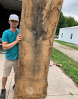 White Oak Lumber Slab Wood