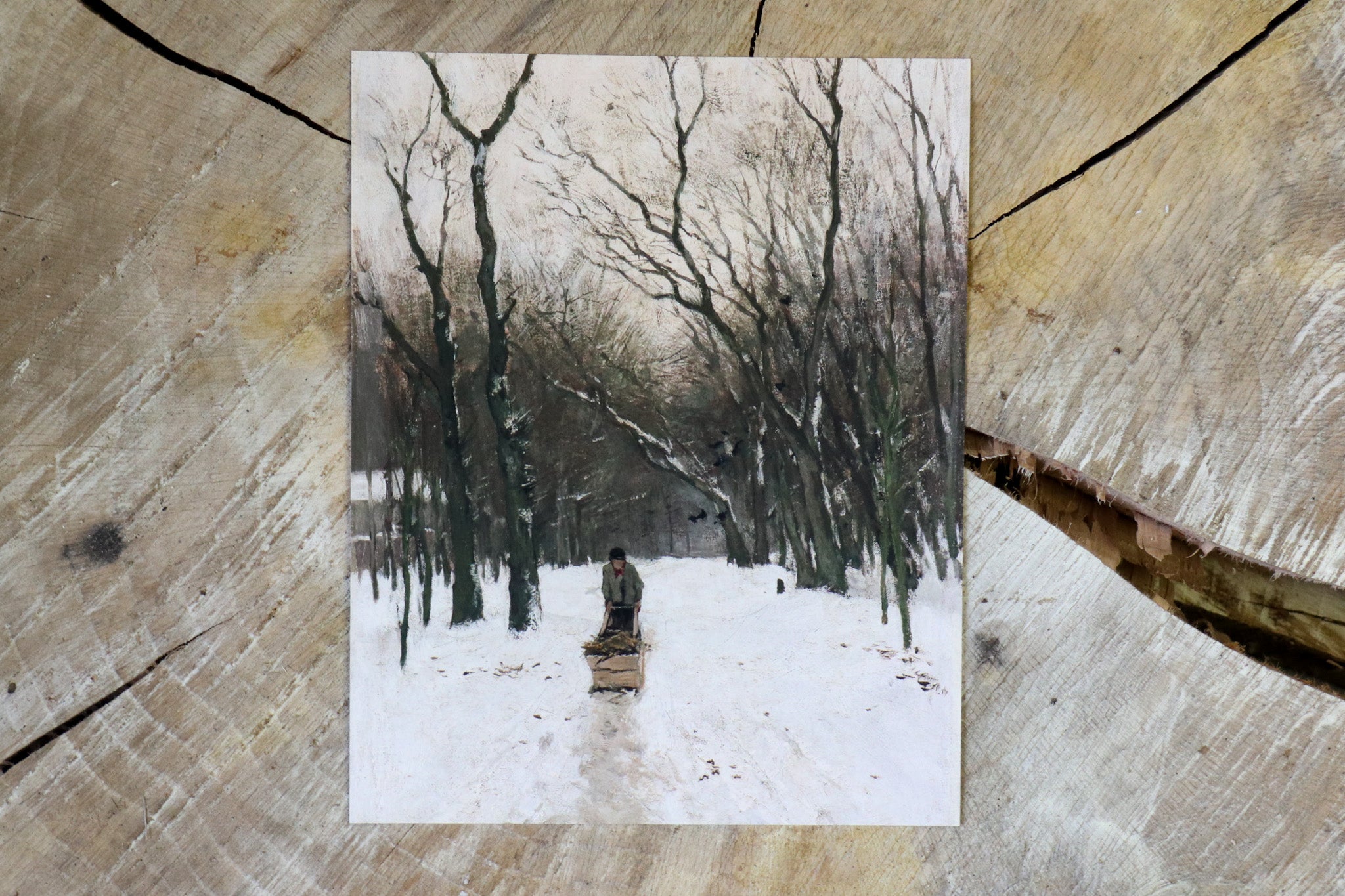 Vintage Art Print - Winter Sledding (in stock) - Hazel Oak Farms