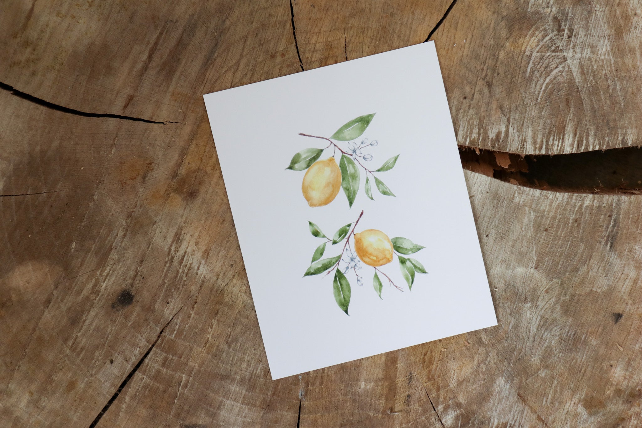 Vintage Art Print - Lemon (in stock) - Hazel Oak Farms