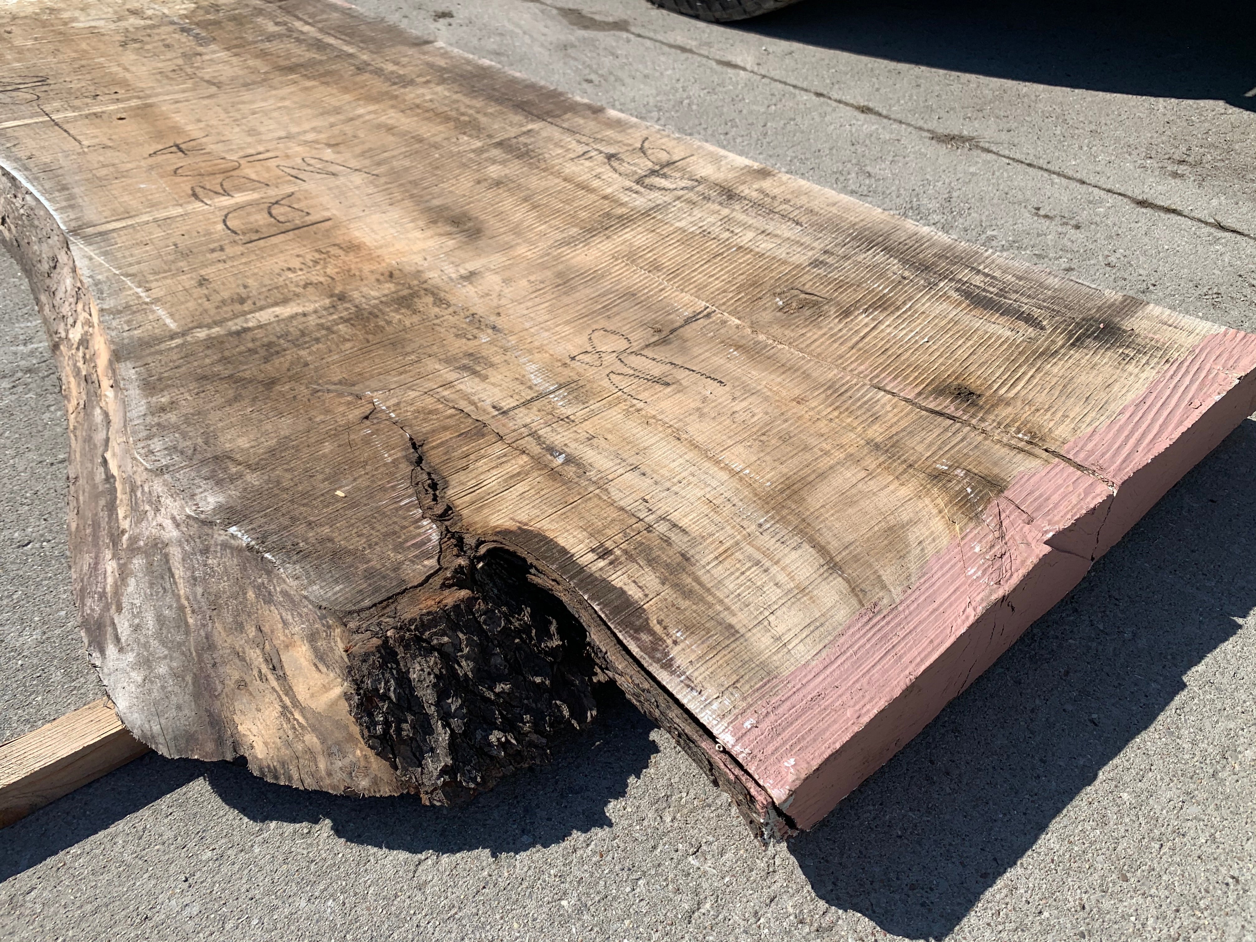 Spalted Soft Maple Slab