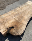 Spalted Soft Maple Slab