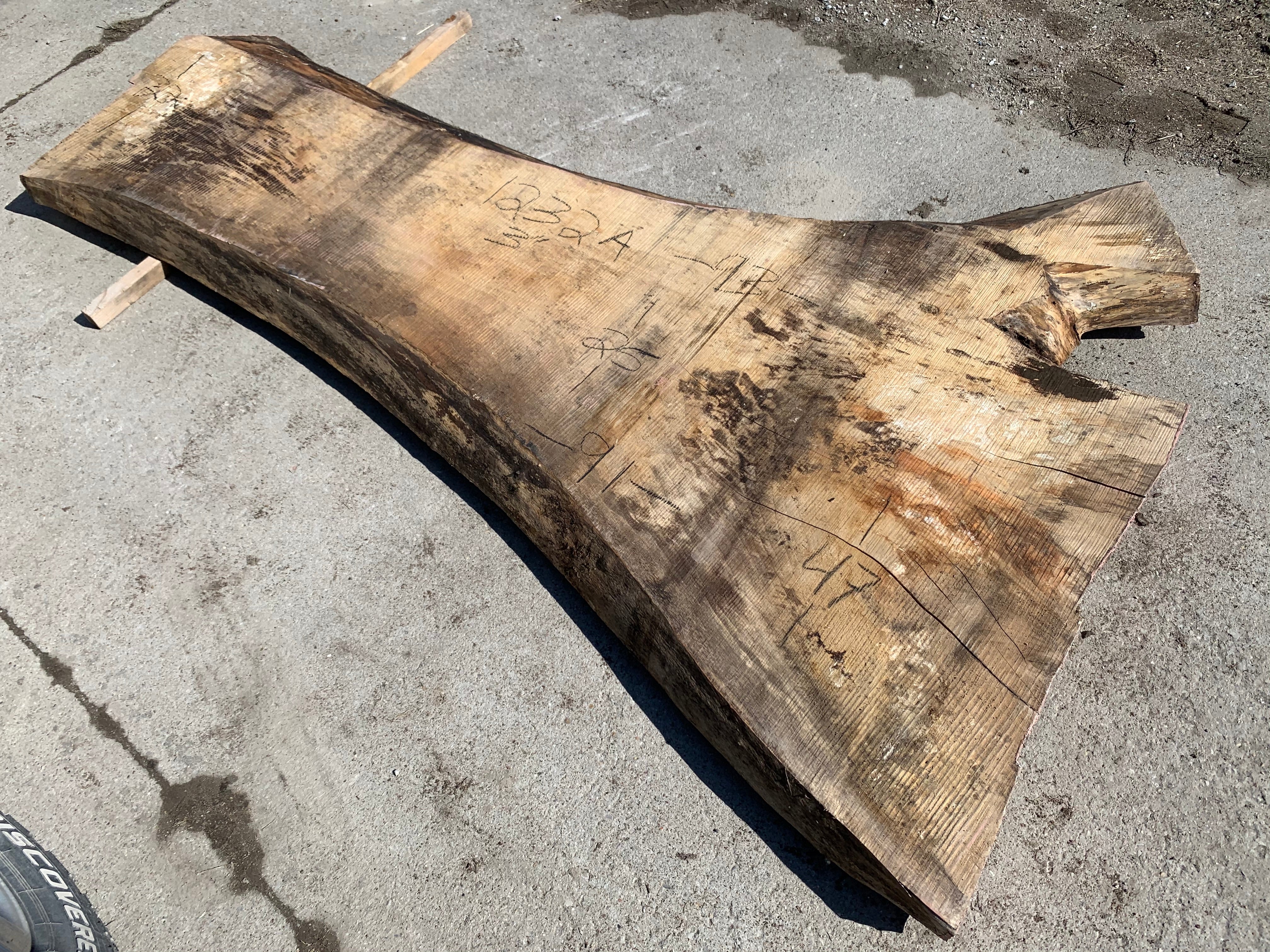 Spalted Soft Maple Slab