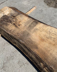 Spalted Soft Maple Slab