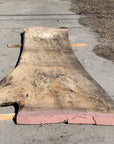 Spalted Soft Maple Slab