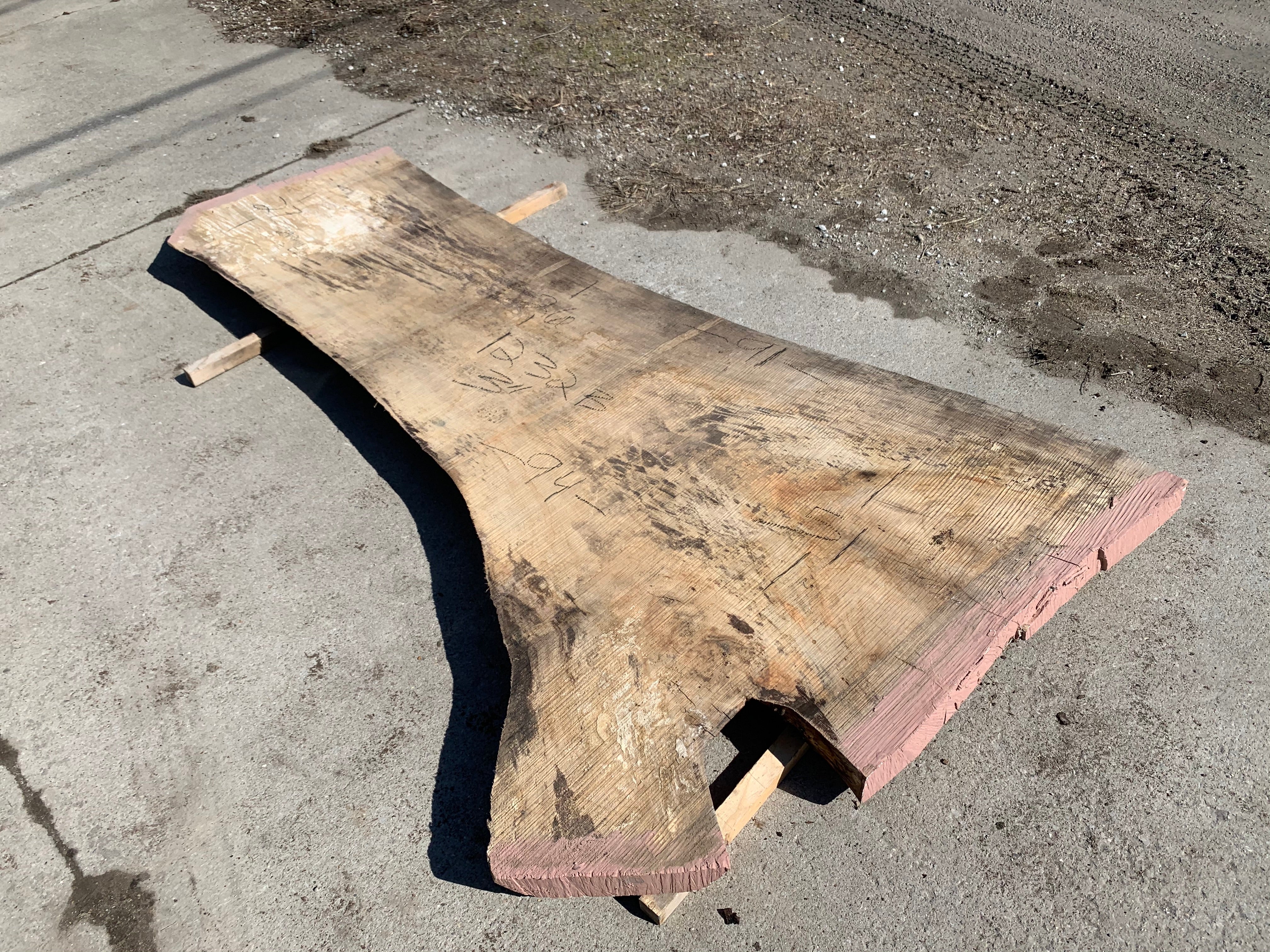 Spalted Soft Maple Slab