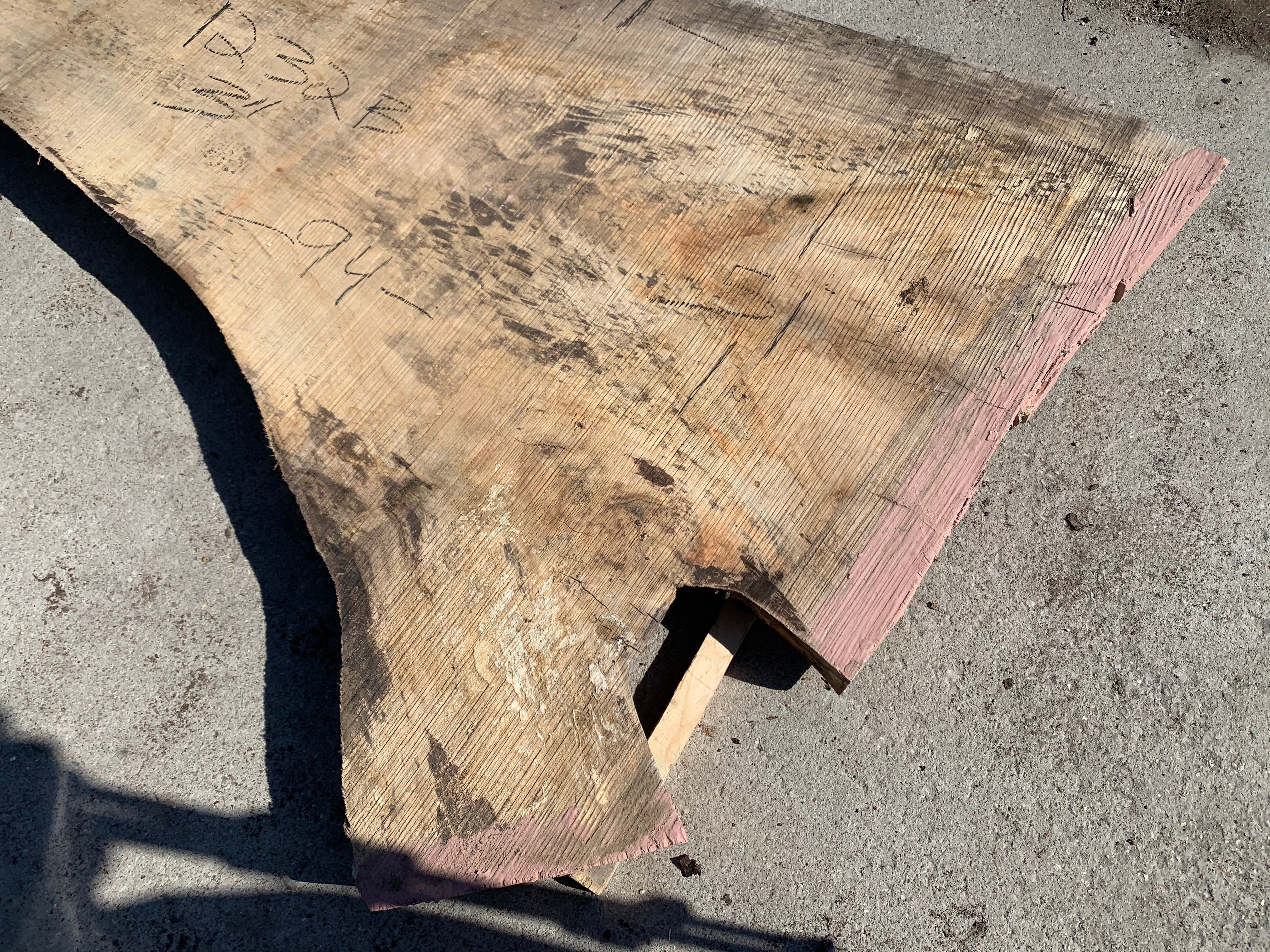 Spalted Soft Maple Slab