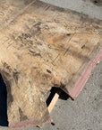 Spalted Soft Maple Slab