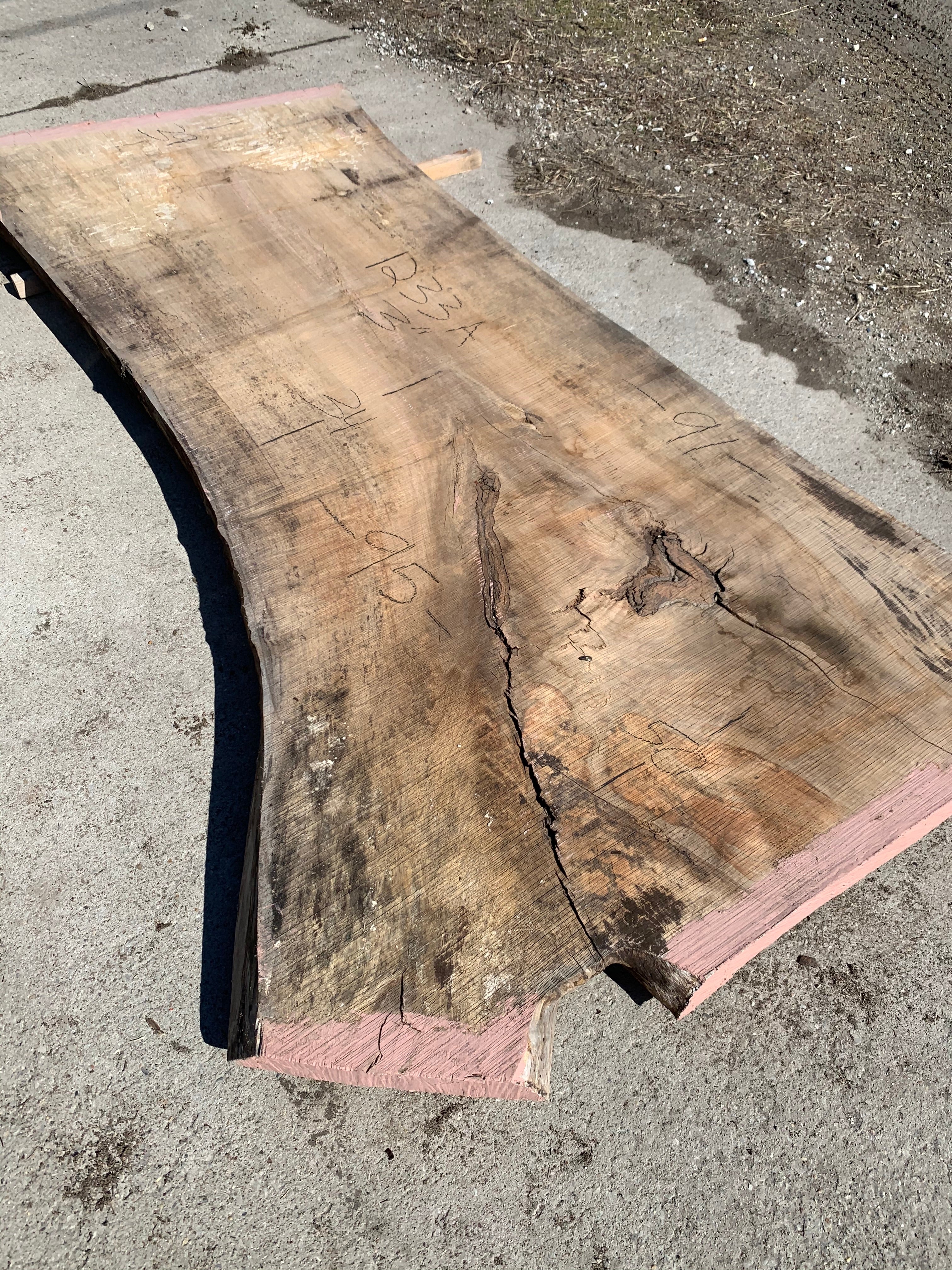Spalted Soft Maple Slab