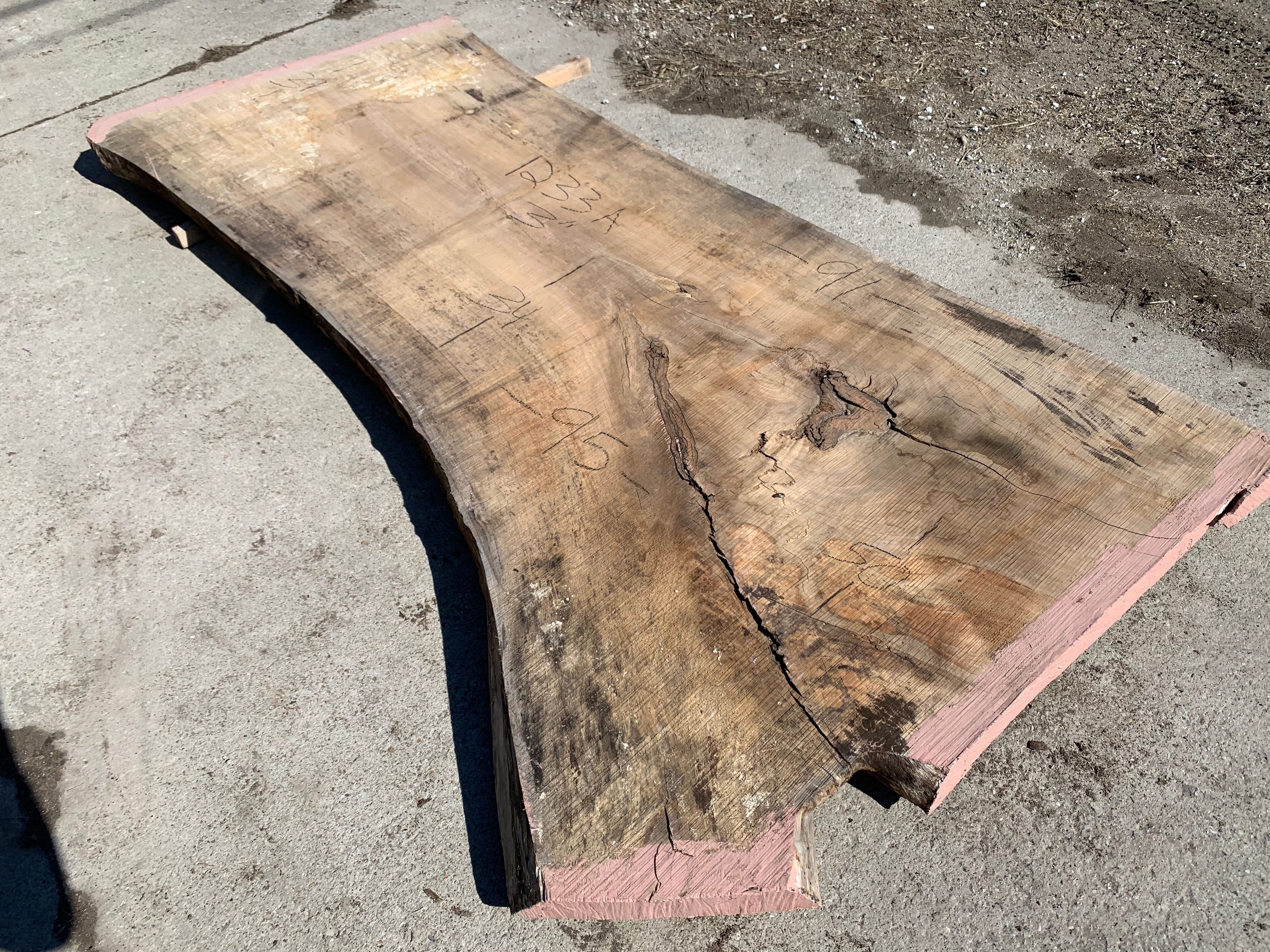 Spalted Soft Maple Slab