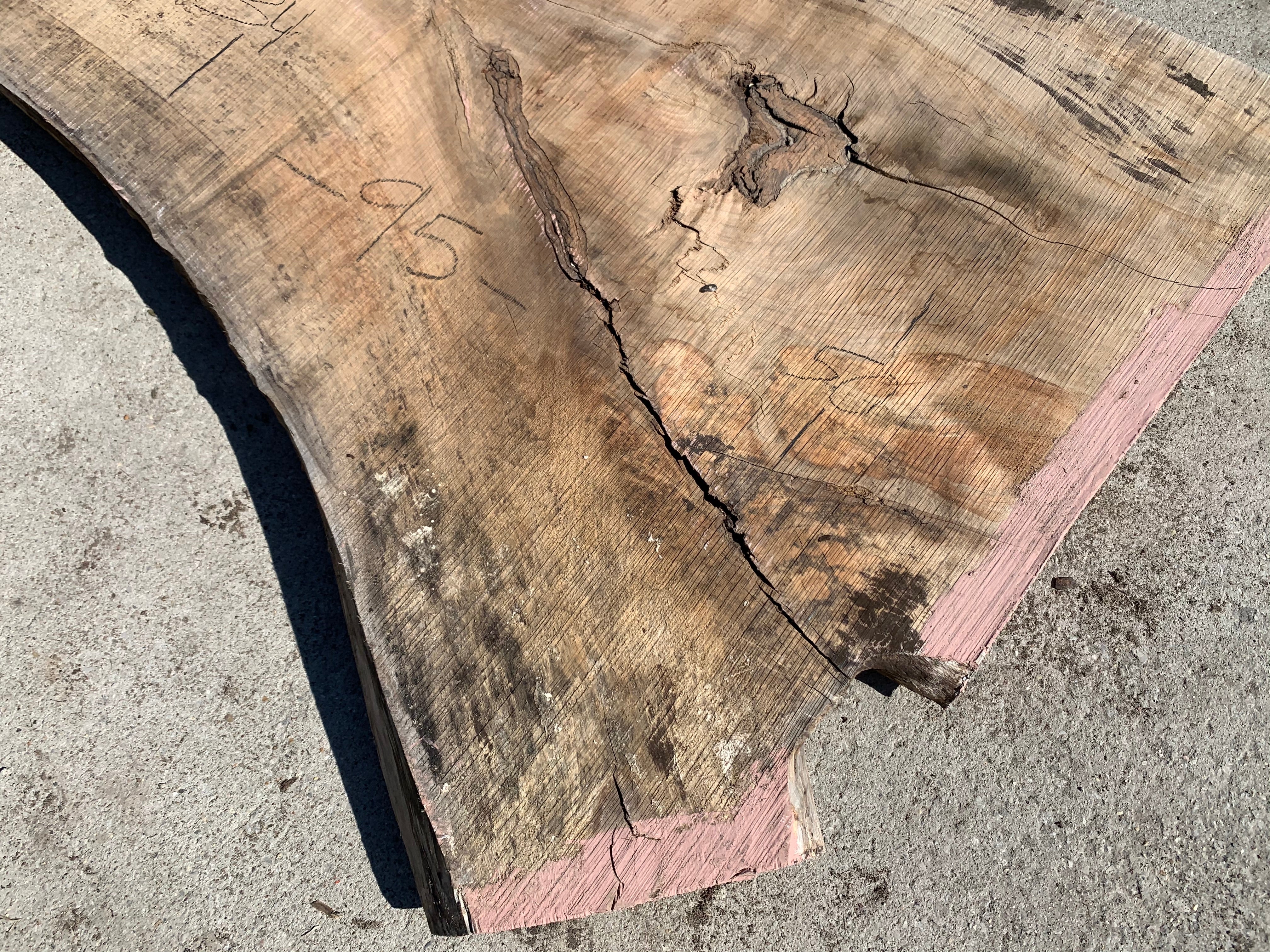 Spalted Soft Maple Slab