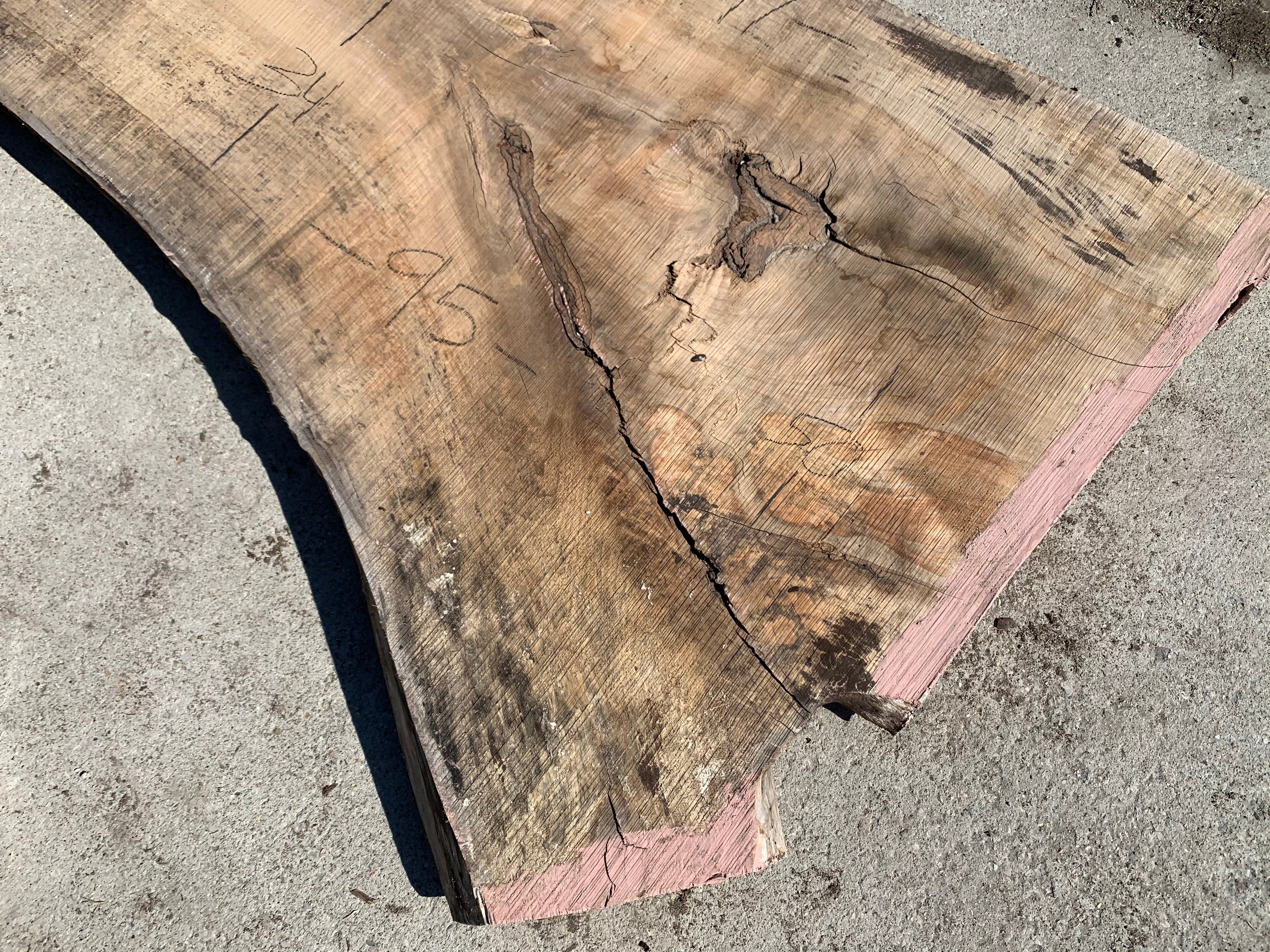 Spalted Soft Maple Slab
