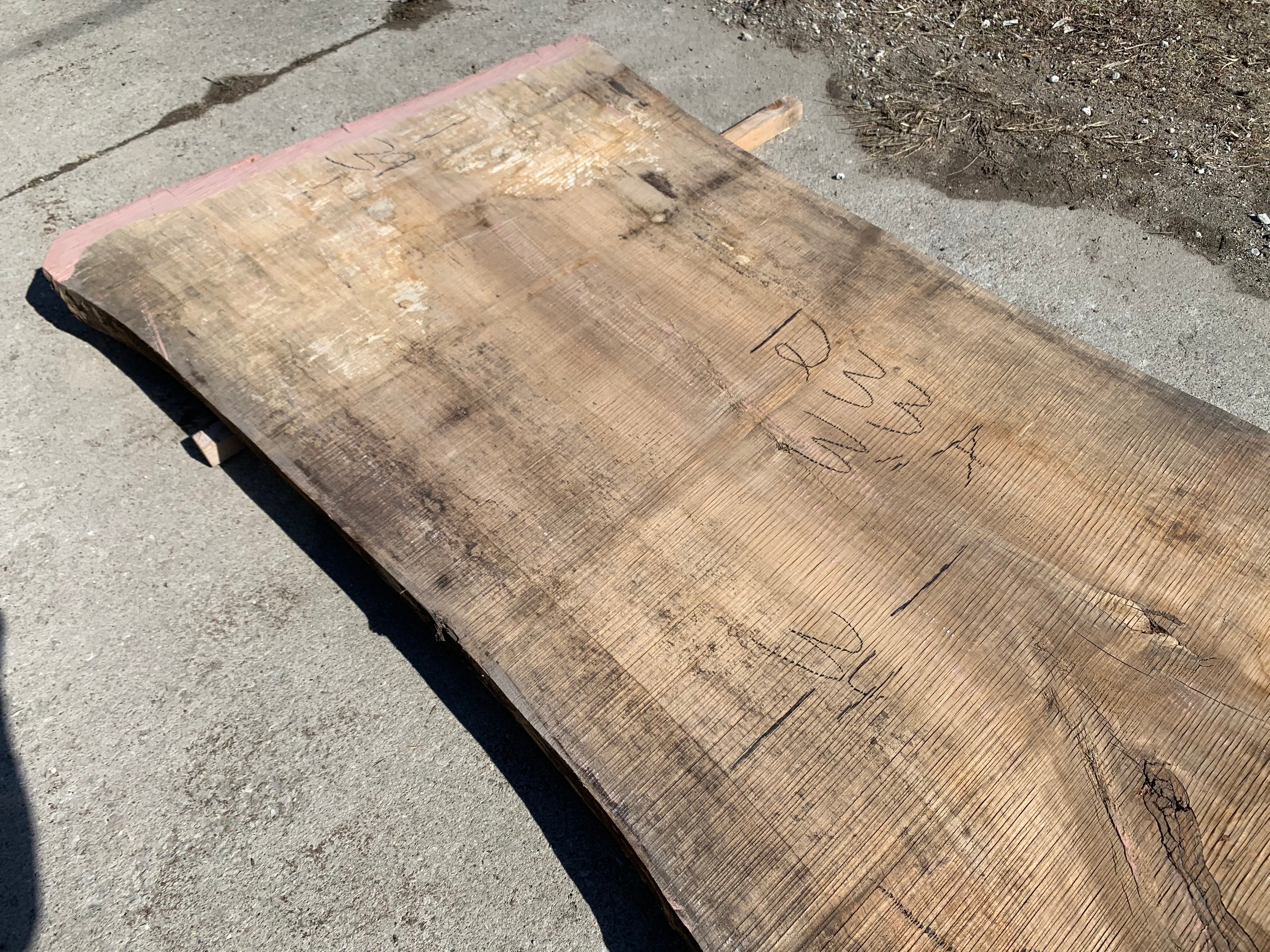 Spalted Soft Maple Slab