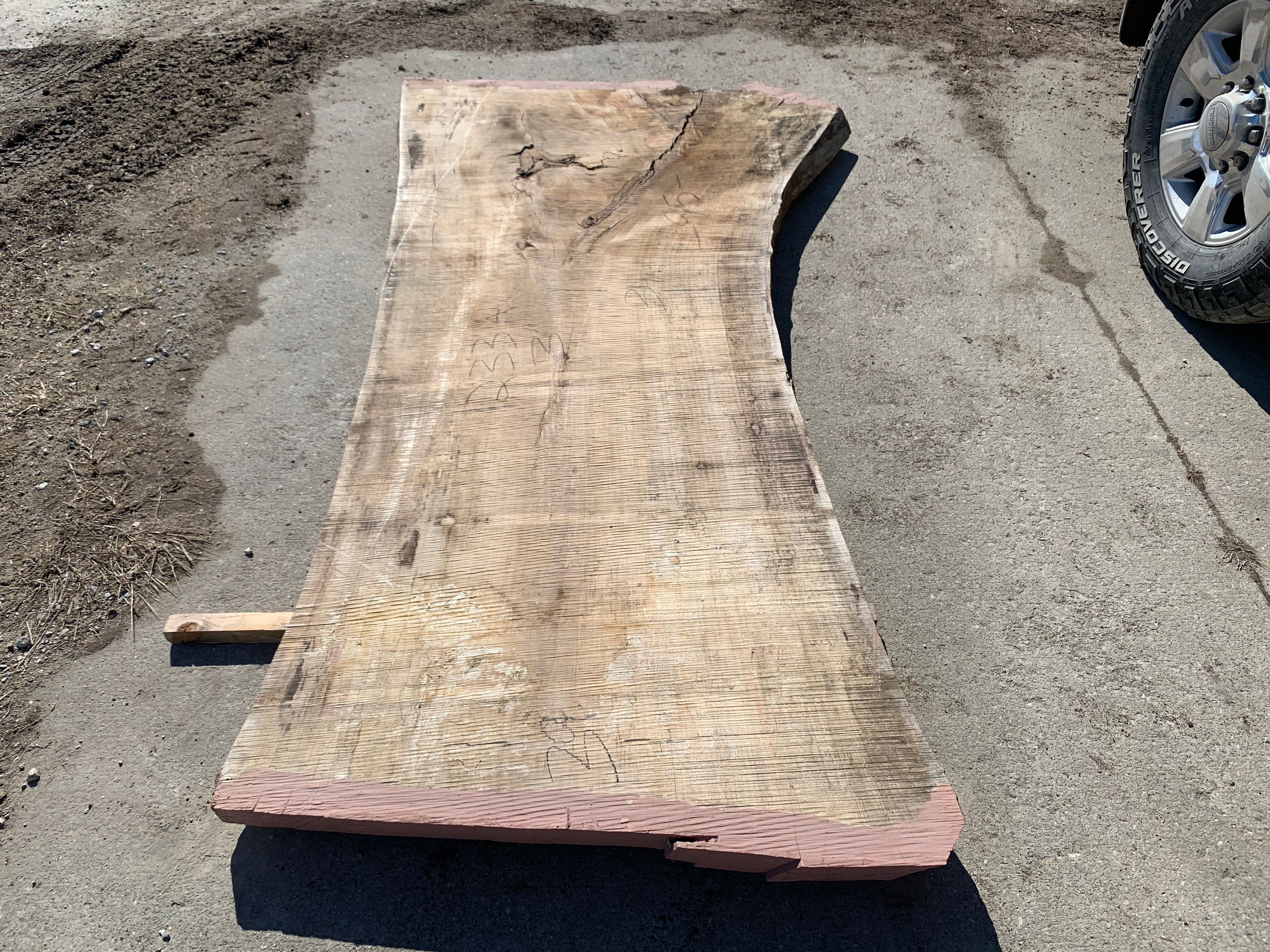 Spalted Soft Maple Slab