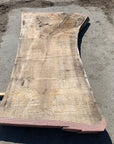 Spalted Soft Maple Slab