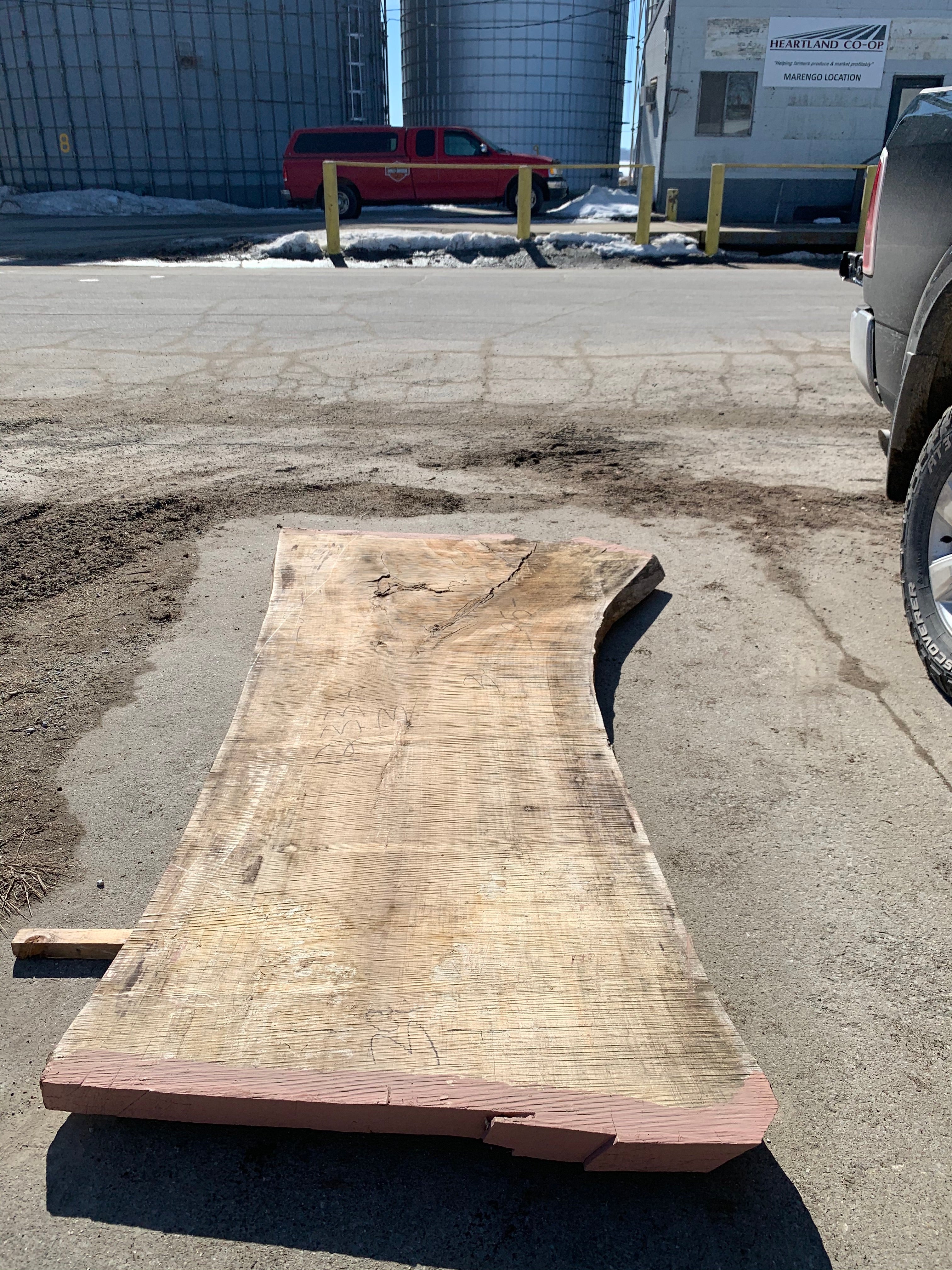 Spalted Soft Maple Slab