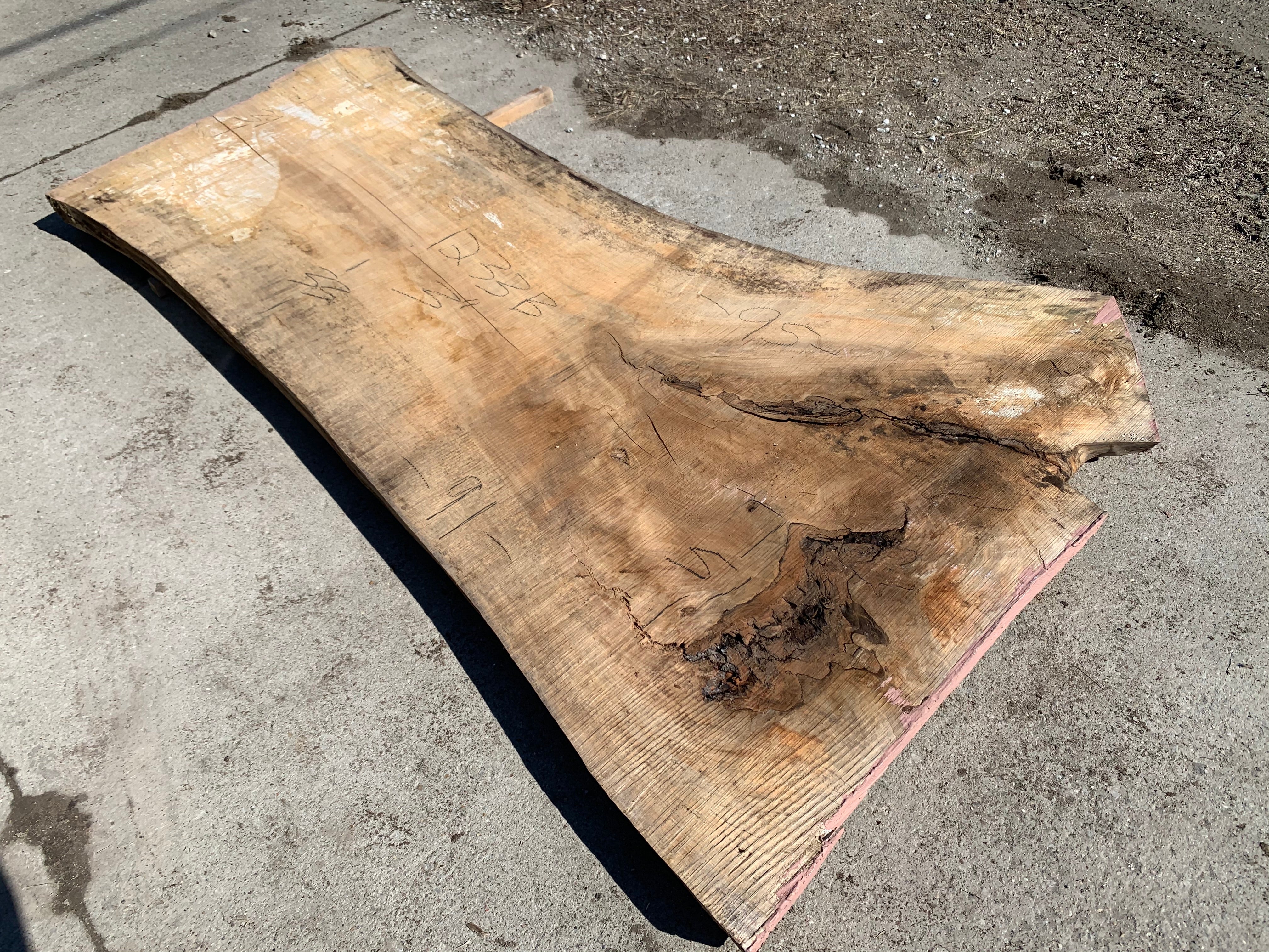 Spalted Soft Maple Slab