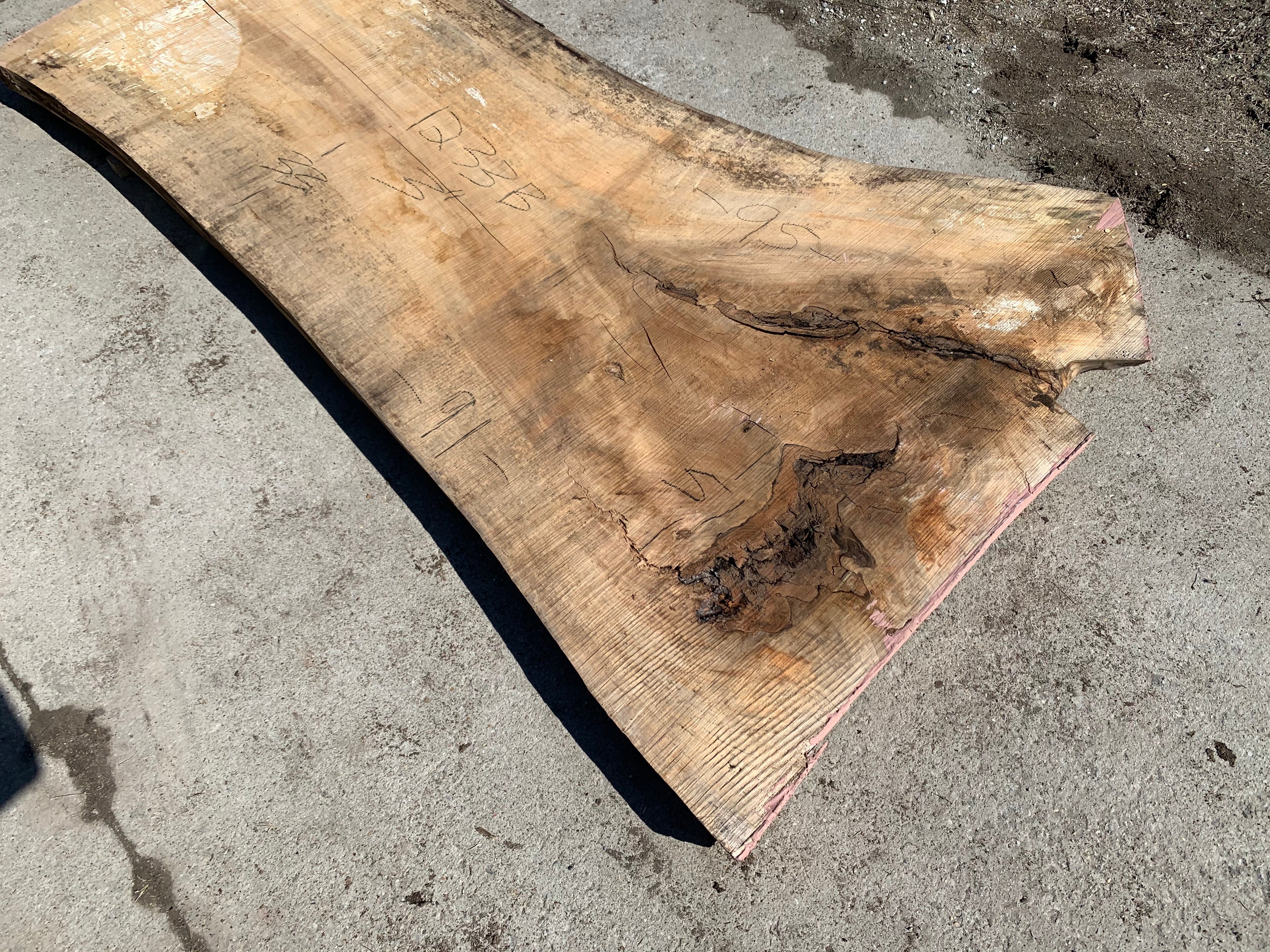 Spalted Soft Maple Slab