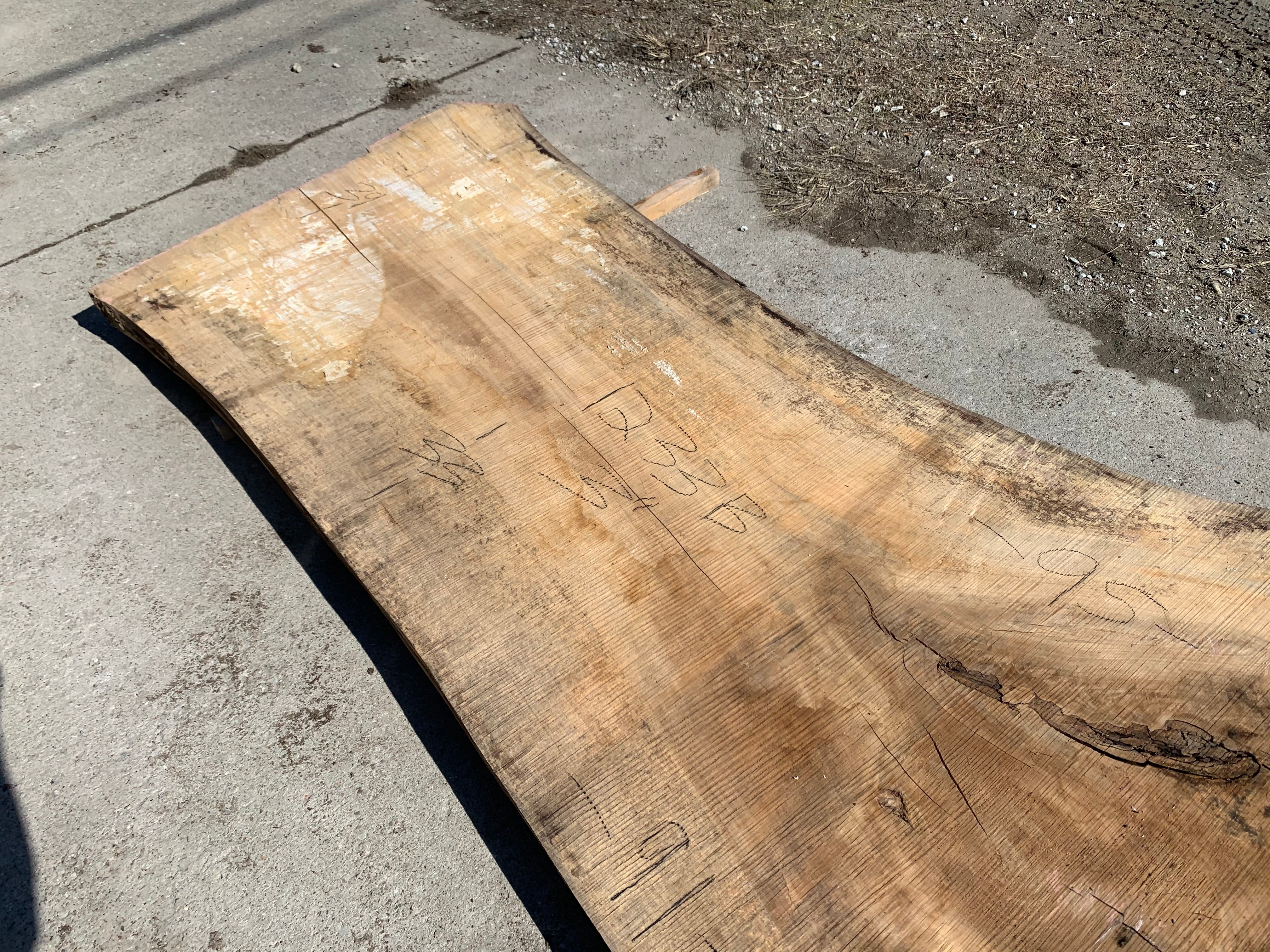 Spalted Soft Maple Slab