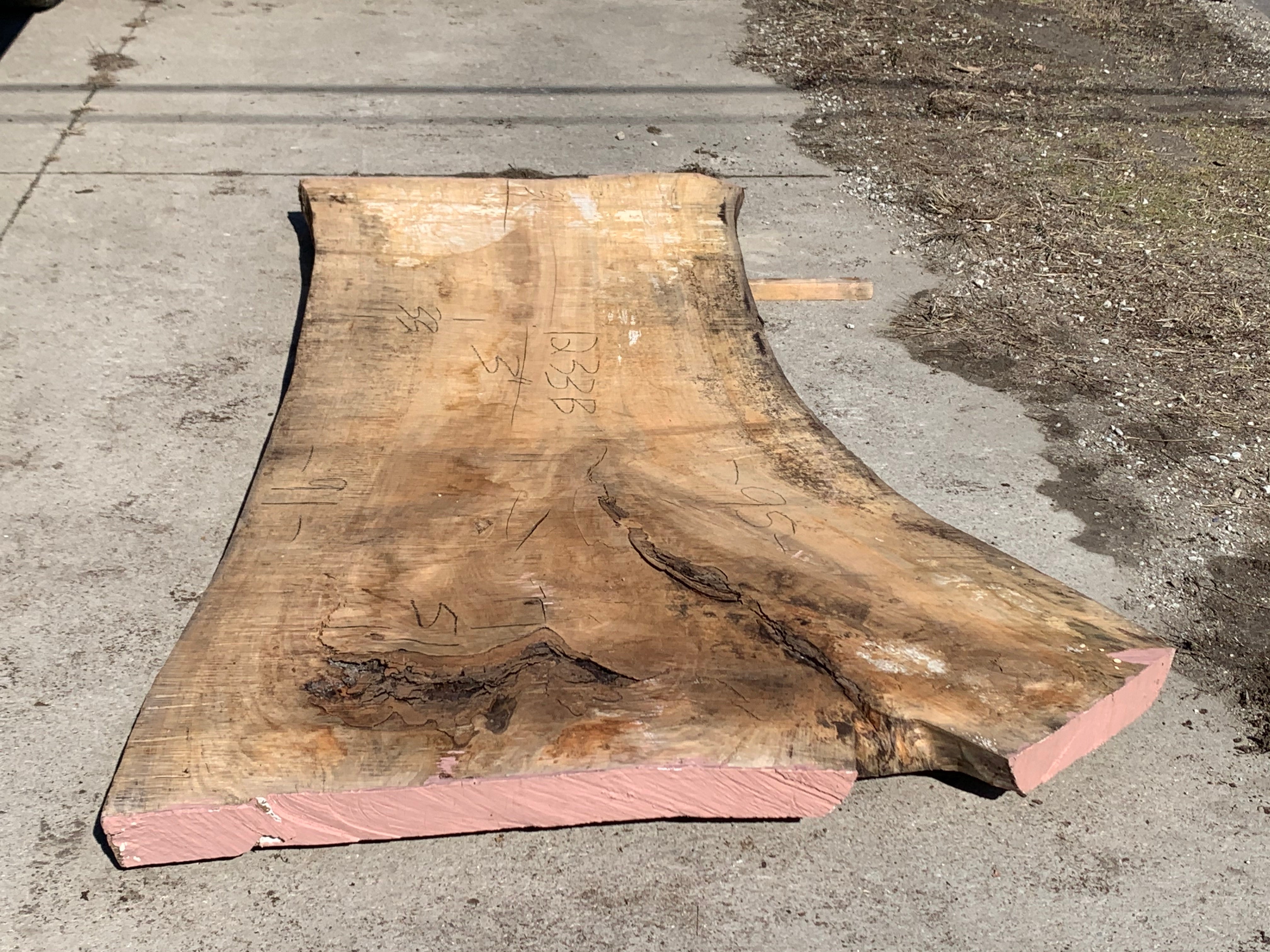 Spalted Soft Maple Slab