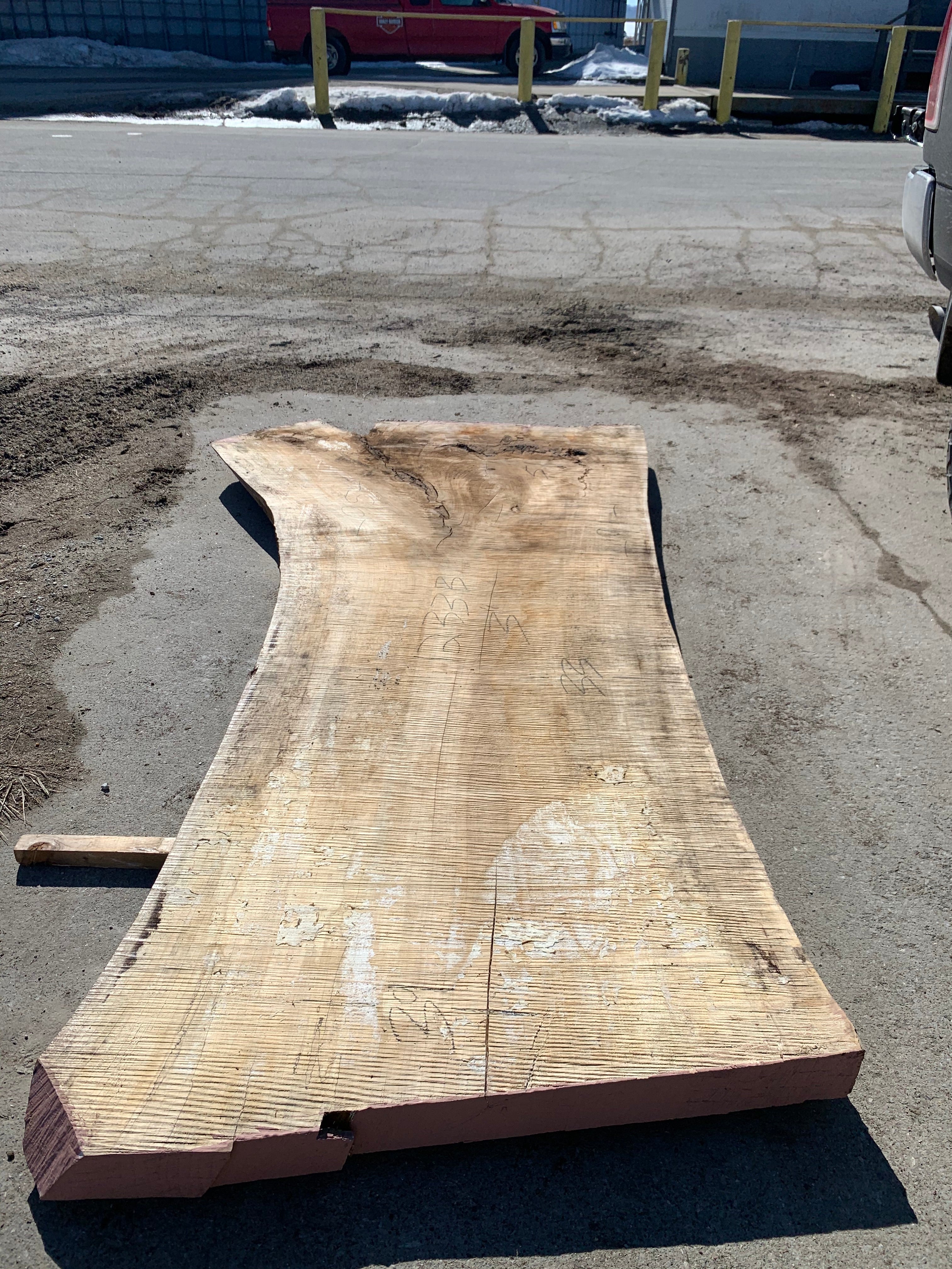 Spalted Soft Maple Slab