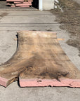 Sawmill, mill, lumber, live edge slabs, mantles, floating shelves, wood, logs, log buyer