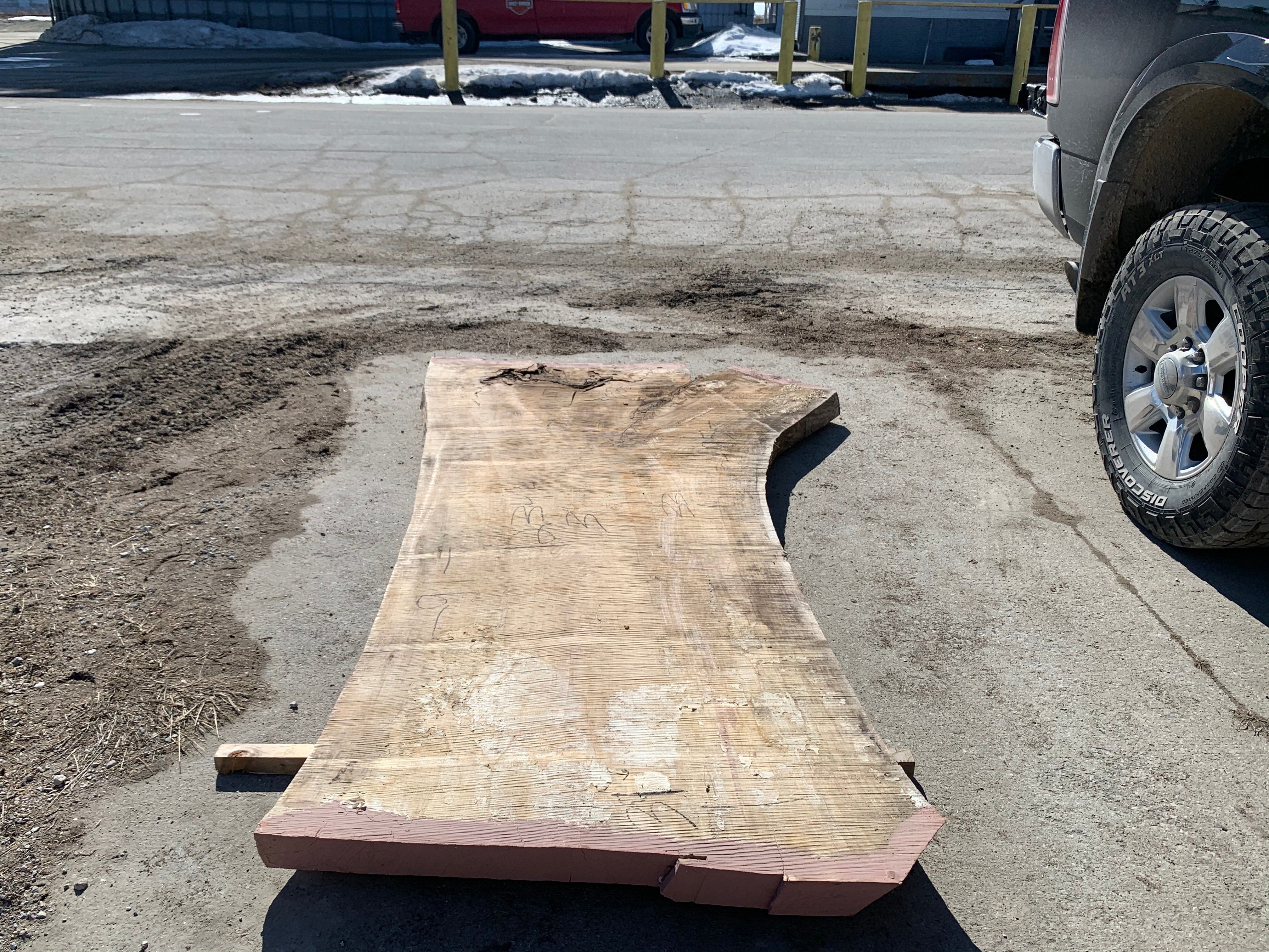 Spalted Soft Maple Slab