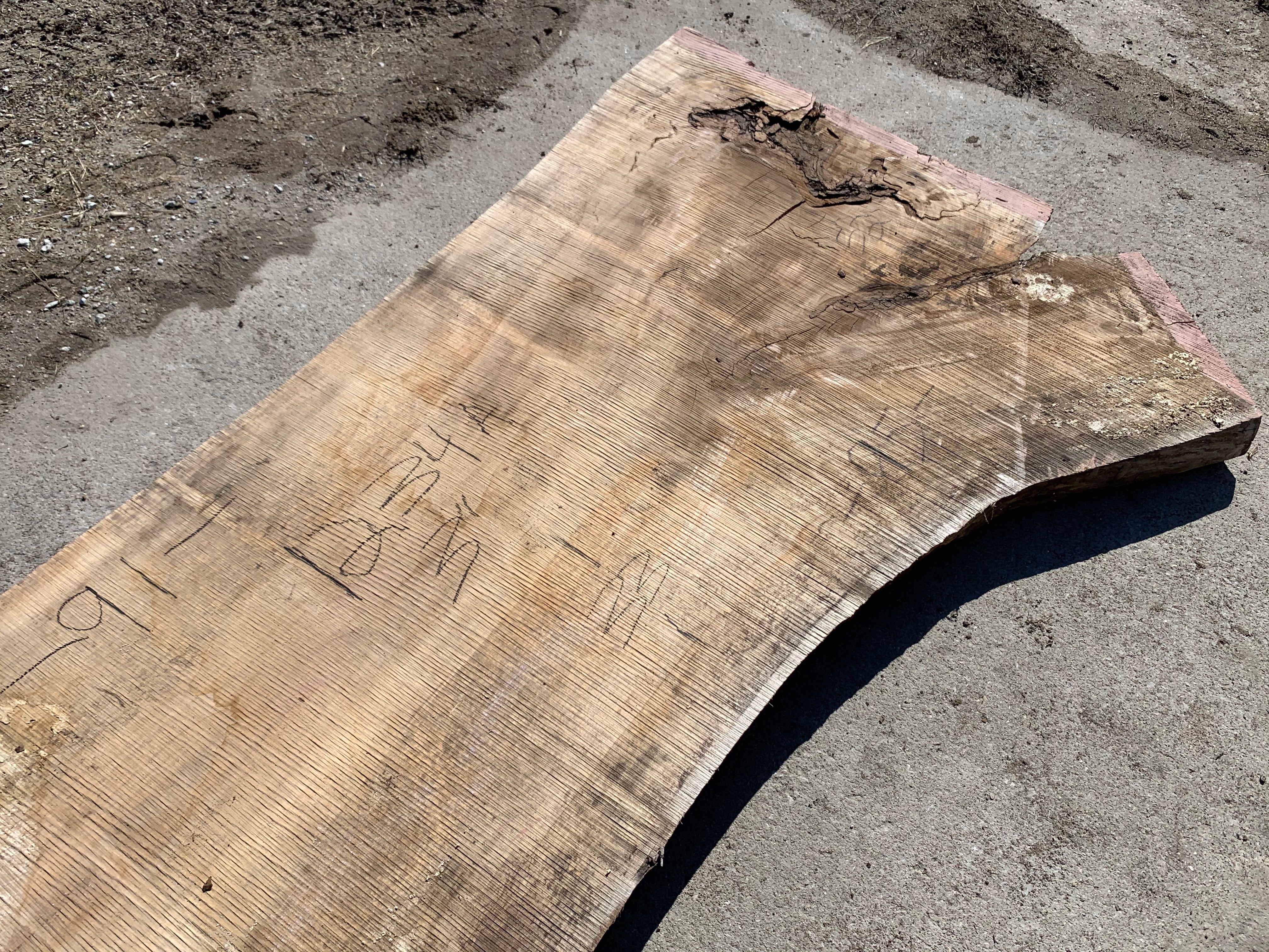 Spalted Soft Maple Slab
