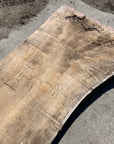 Spalted Soft Maple Slab