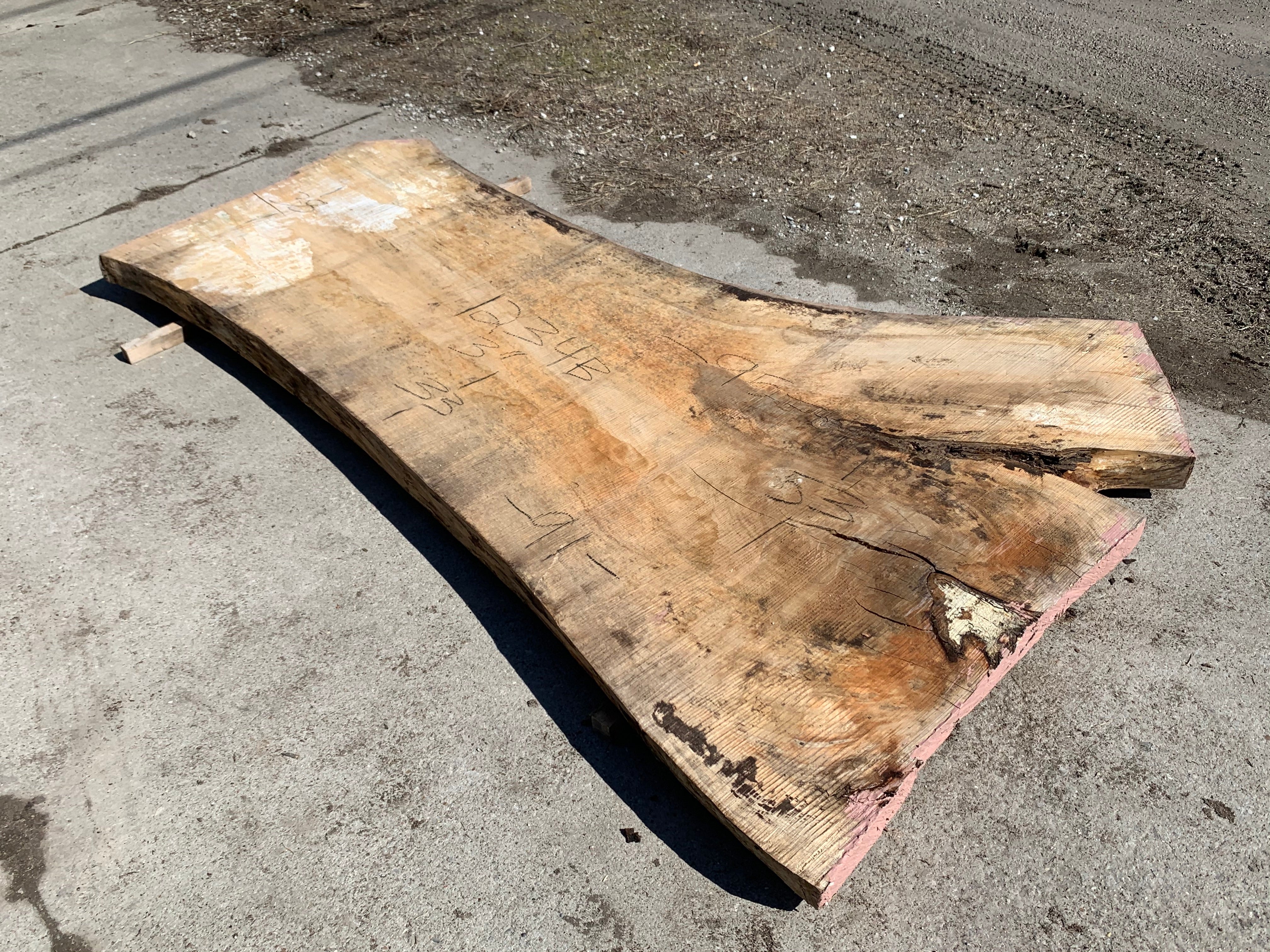 Spalted Soft Maple Slab