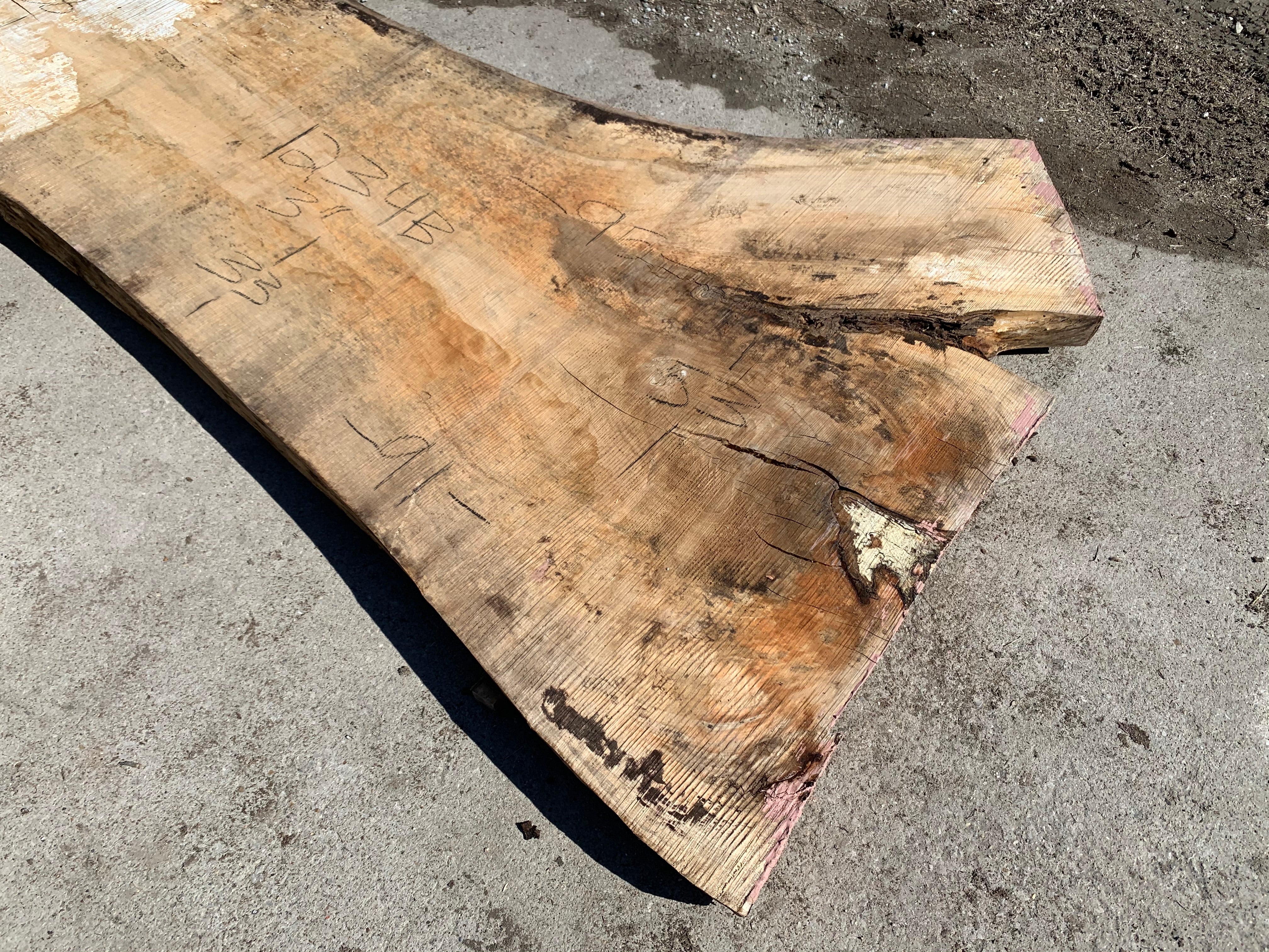 Spalted Soft Maple Slab
