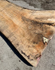 Spalted Soft Maple Slab