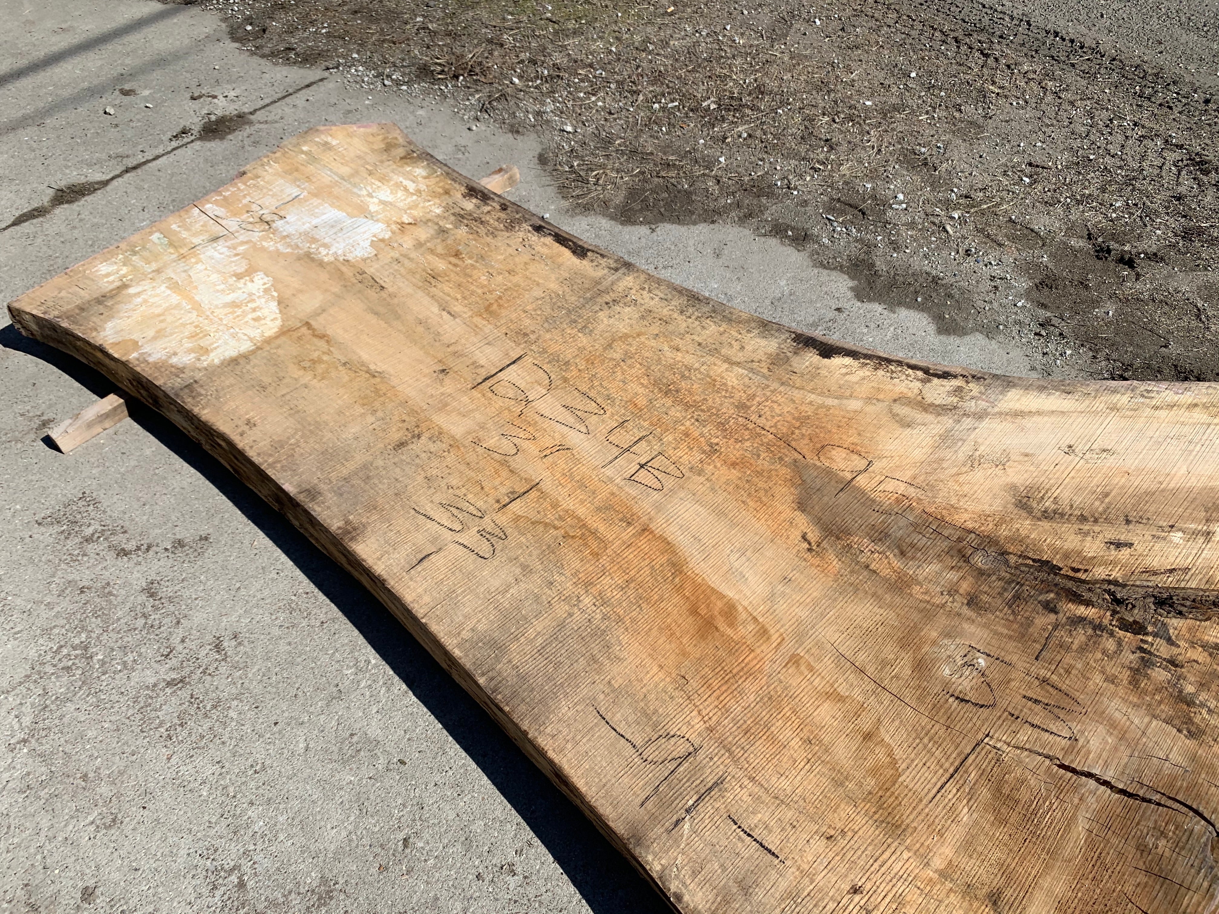 Spalted Soft Maple Slab