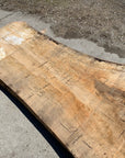Spalted Soft Maple Slab