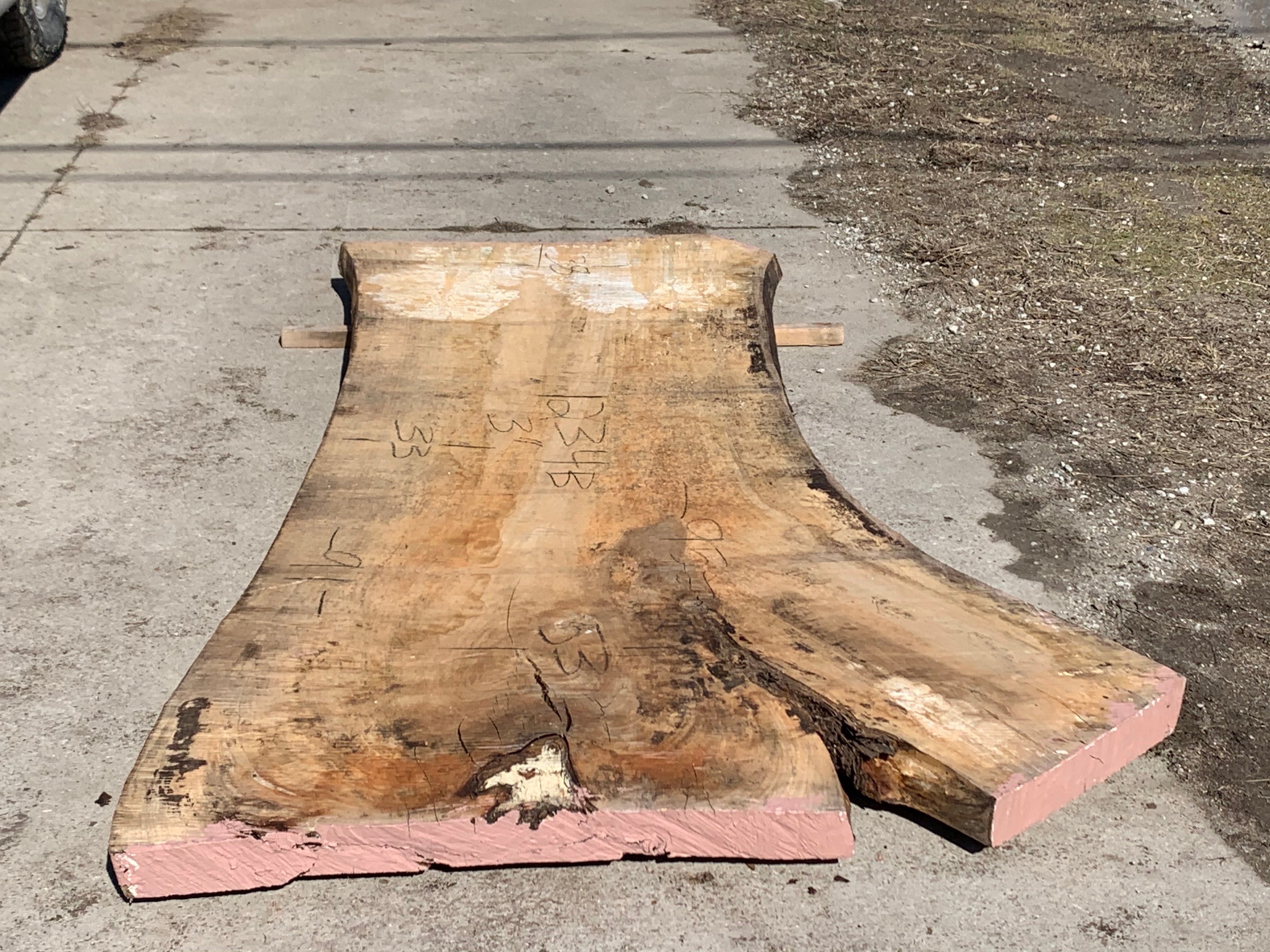 Spalted Soft Maple Slab