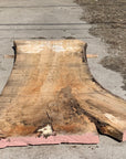 Spalted Soft Maple Slab