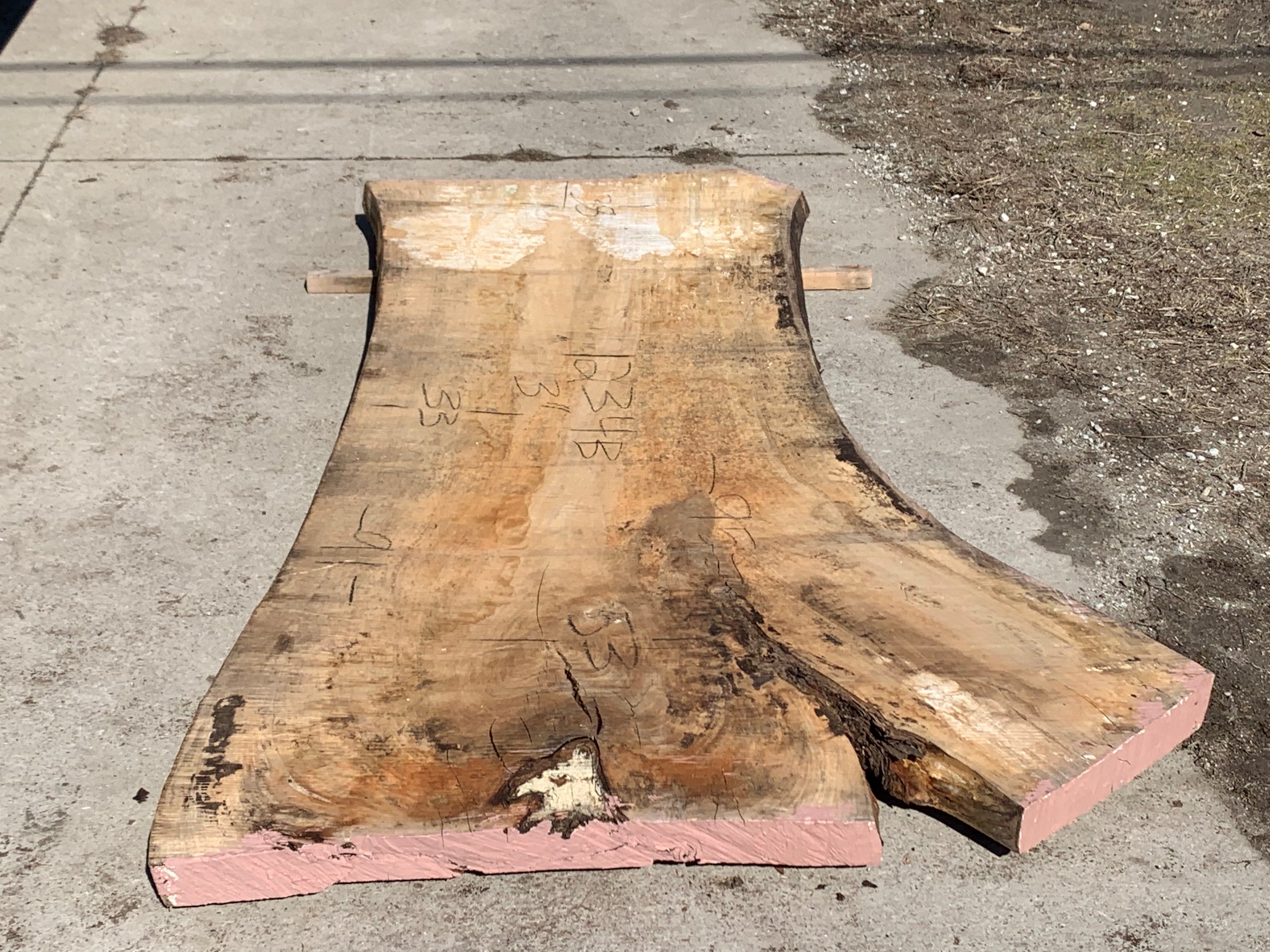 Spalted Soft Maple Slab