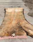 Spalted Soft Maple Slab