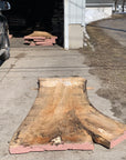 Spalted Soft Maple Slab