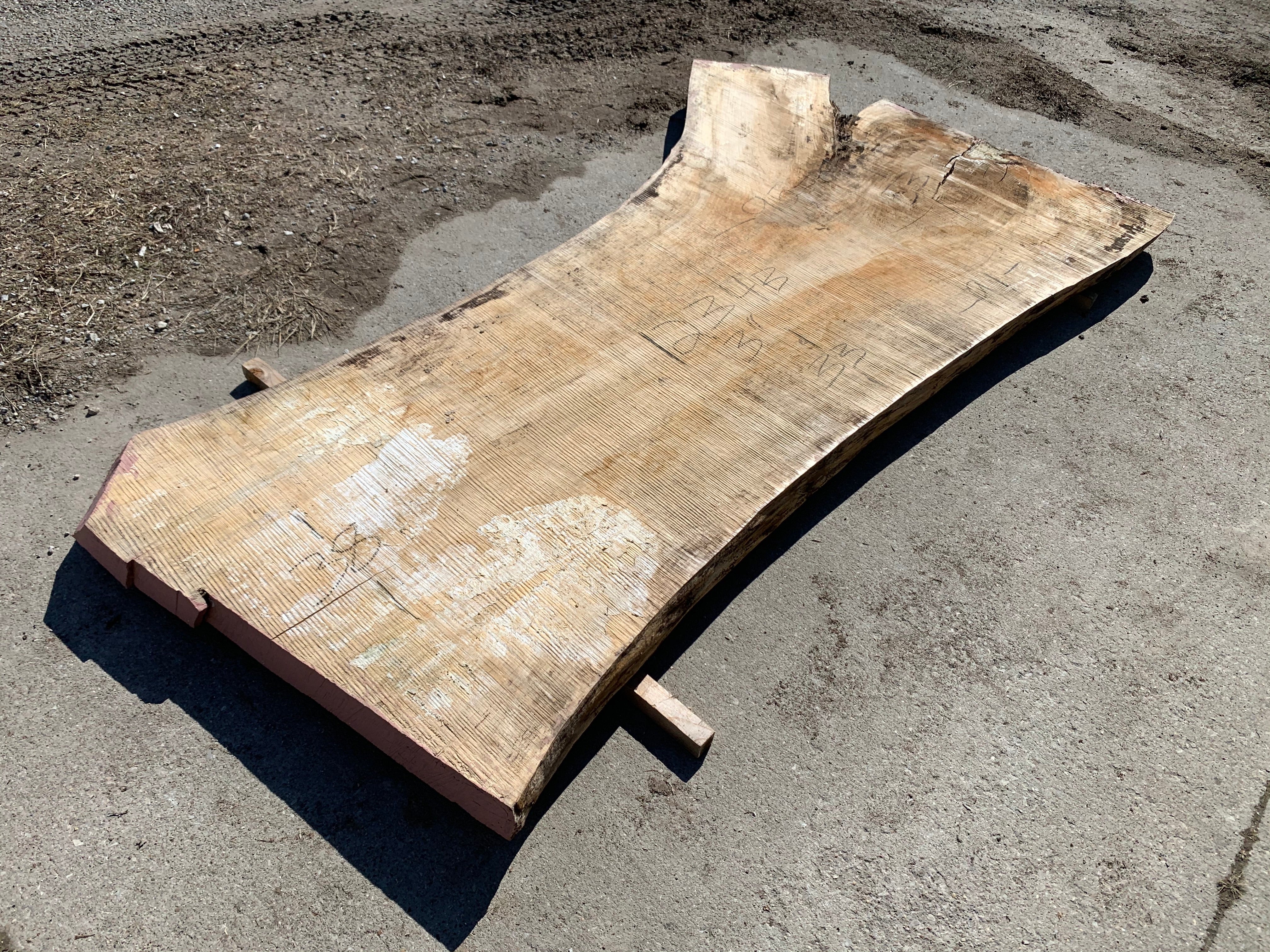 Spalted Soft Maple Slab