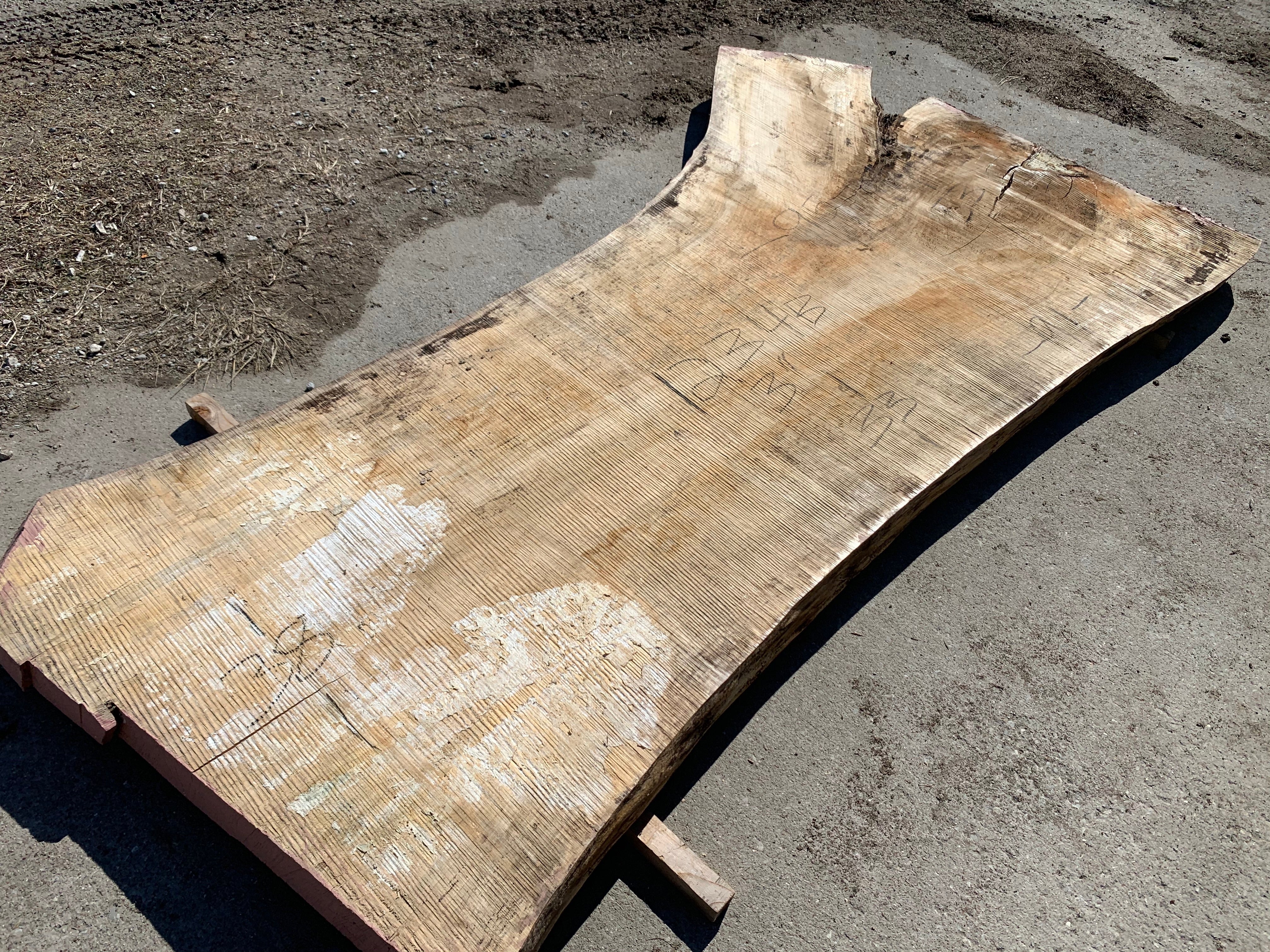Spalted Soft Maple Slab