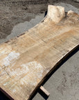 Spalted Soft Maple Slab