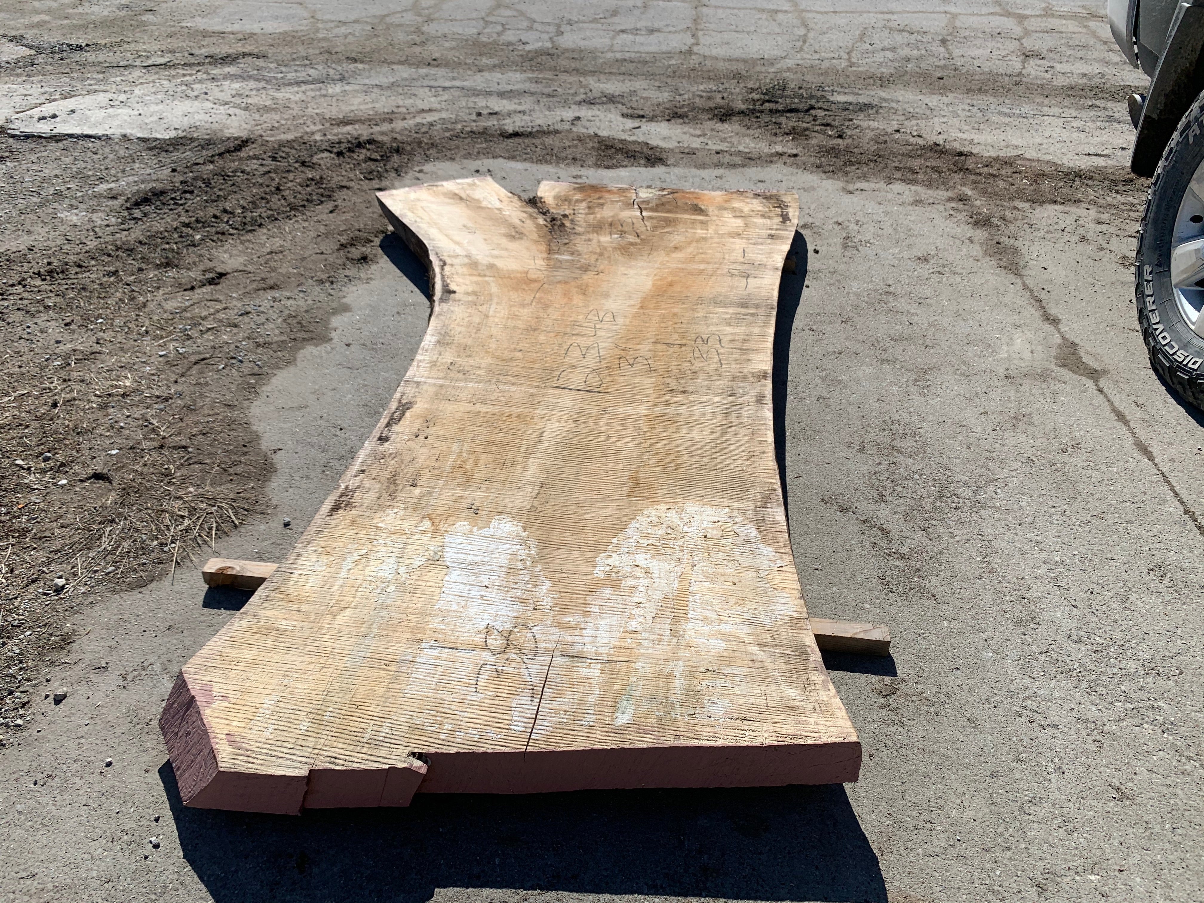 Spalted Soft Maple Slab