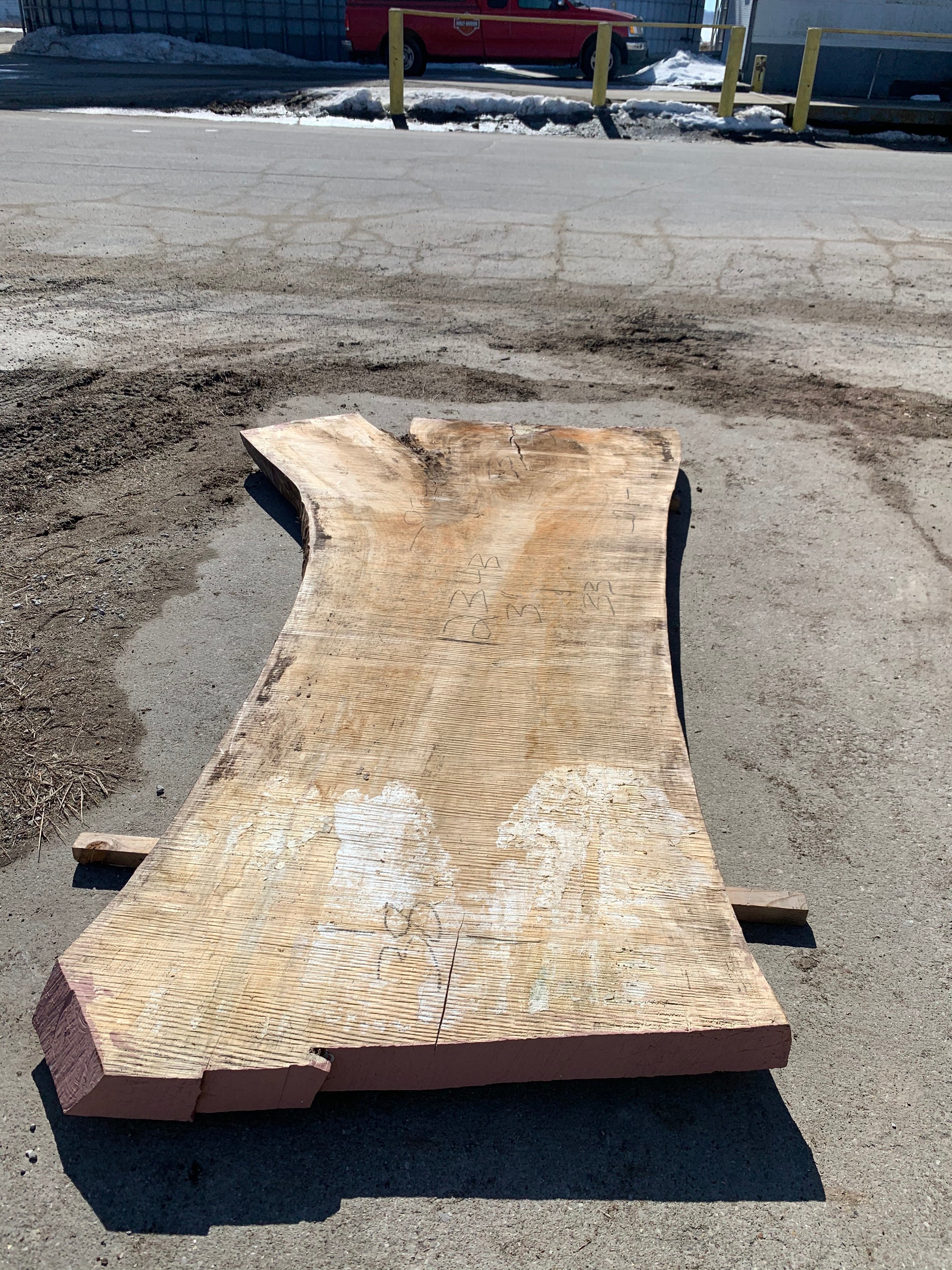 Spalted Soft Maple Slab