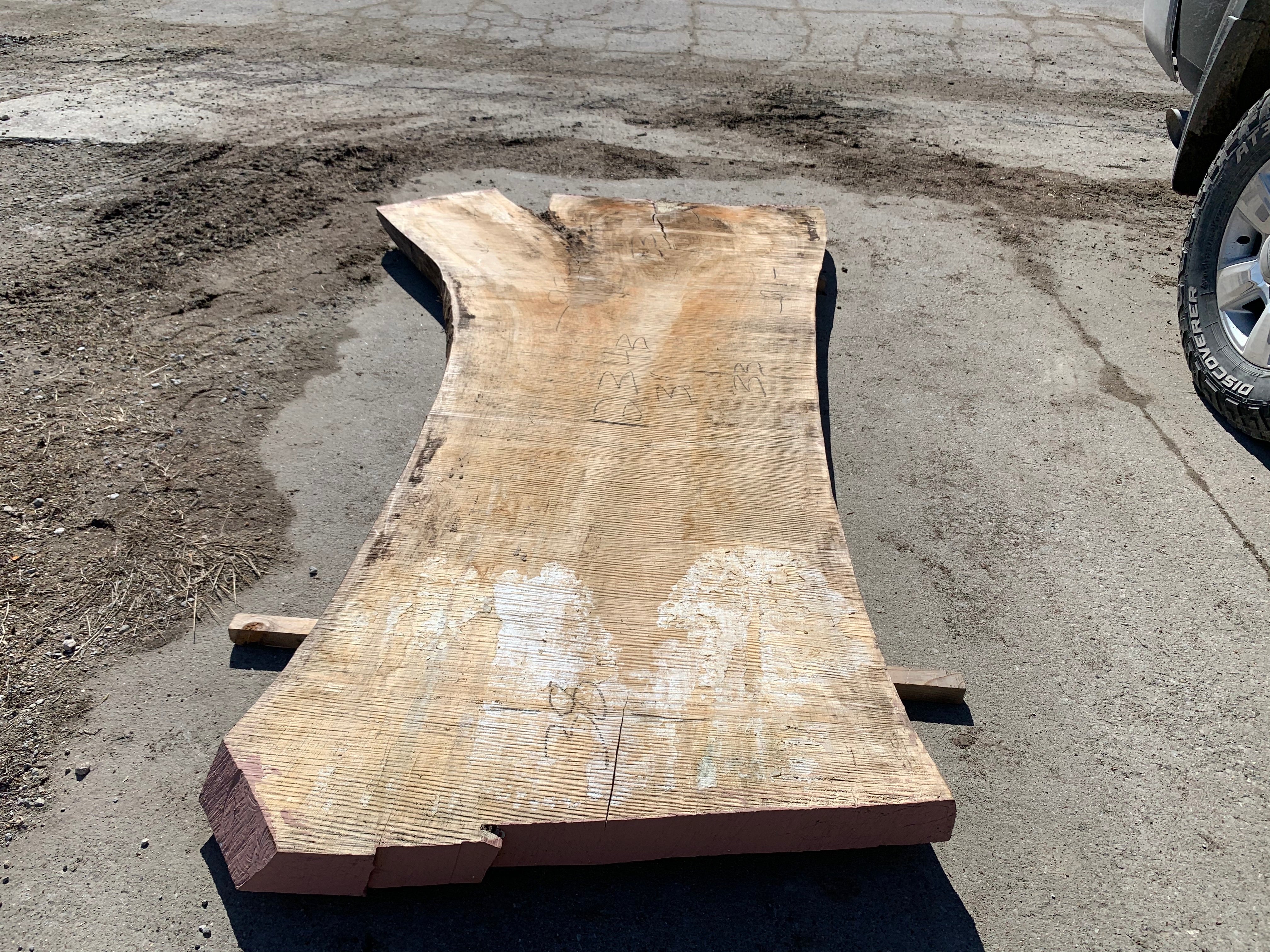Spalted Soft Maple Slab