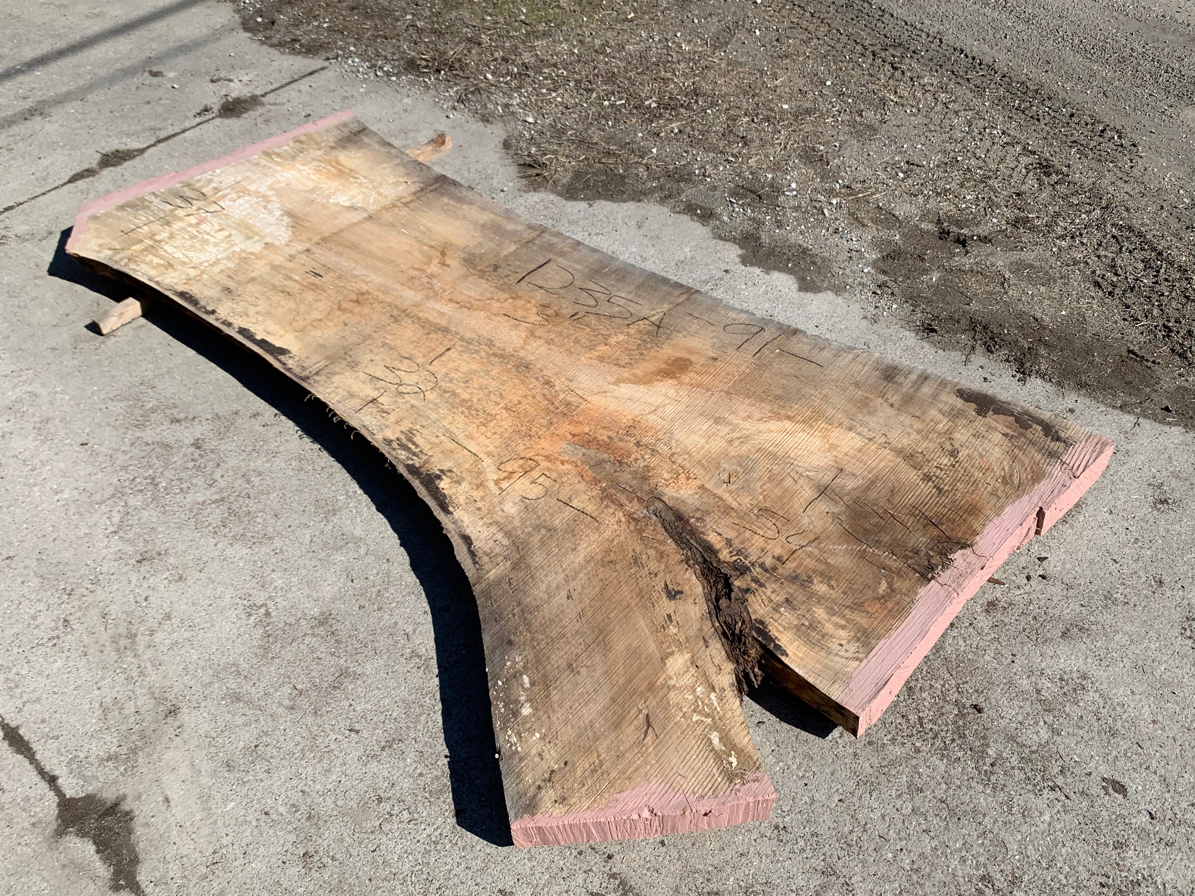 Spalted Soft Maple Slab