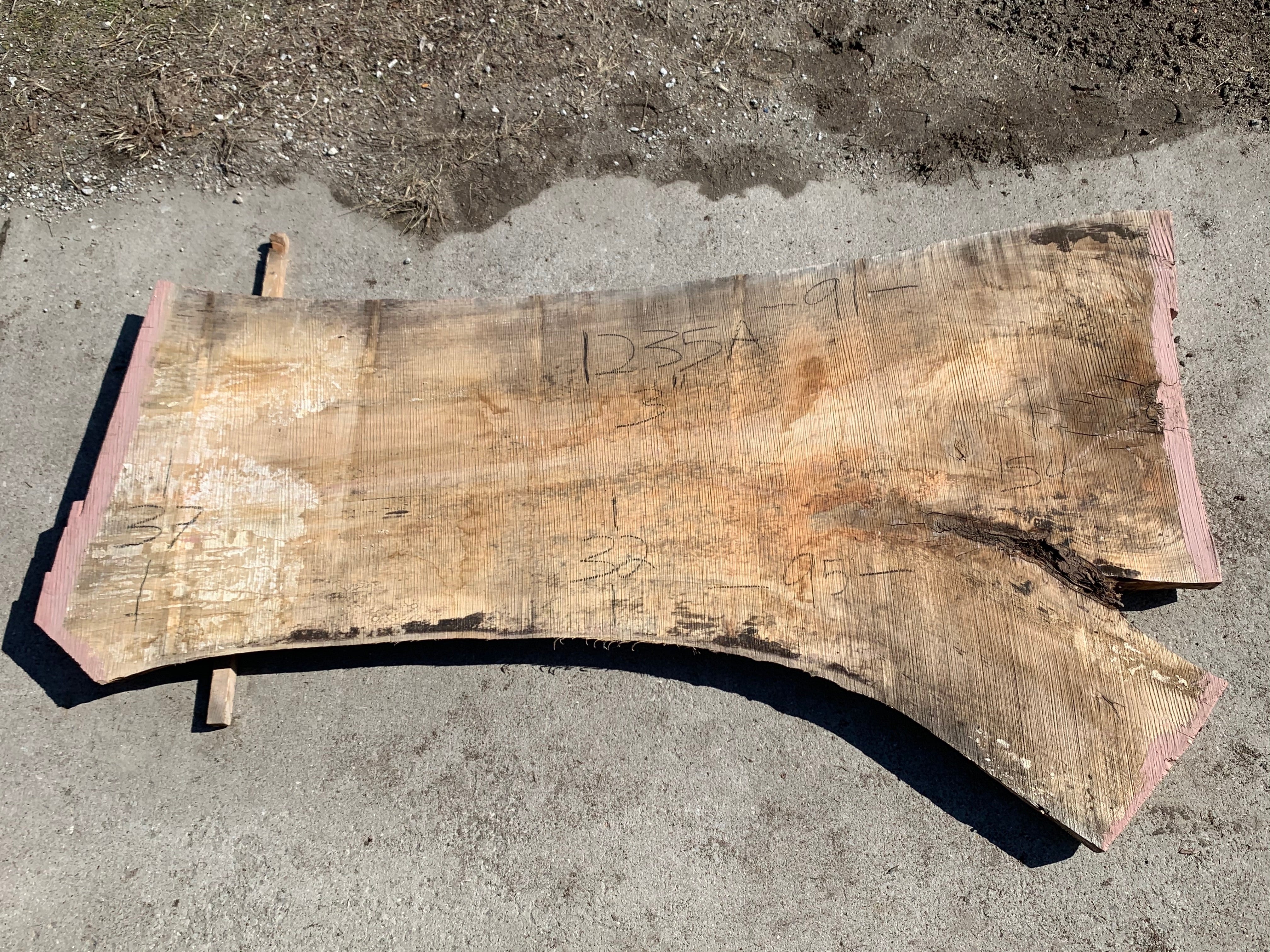 Spalted Soft Maple Slab