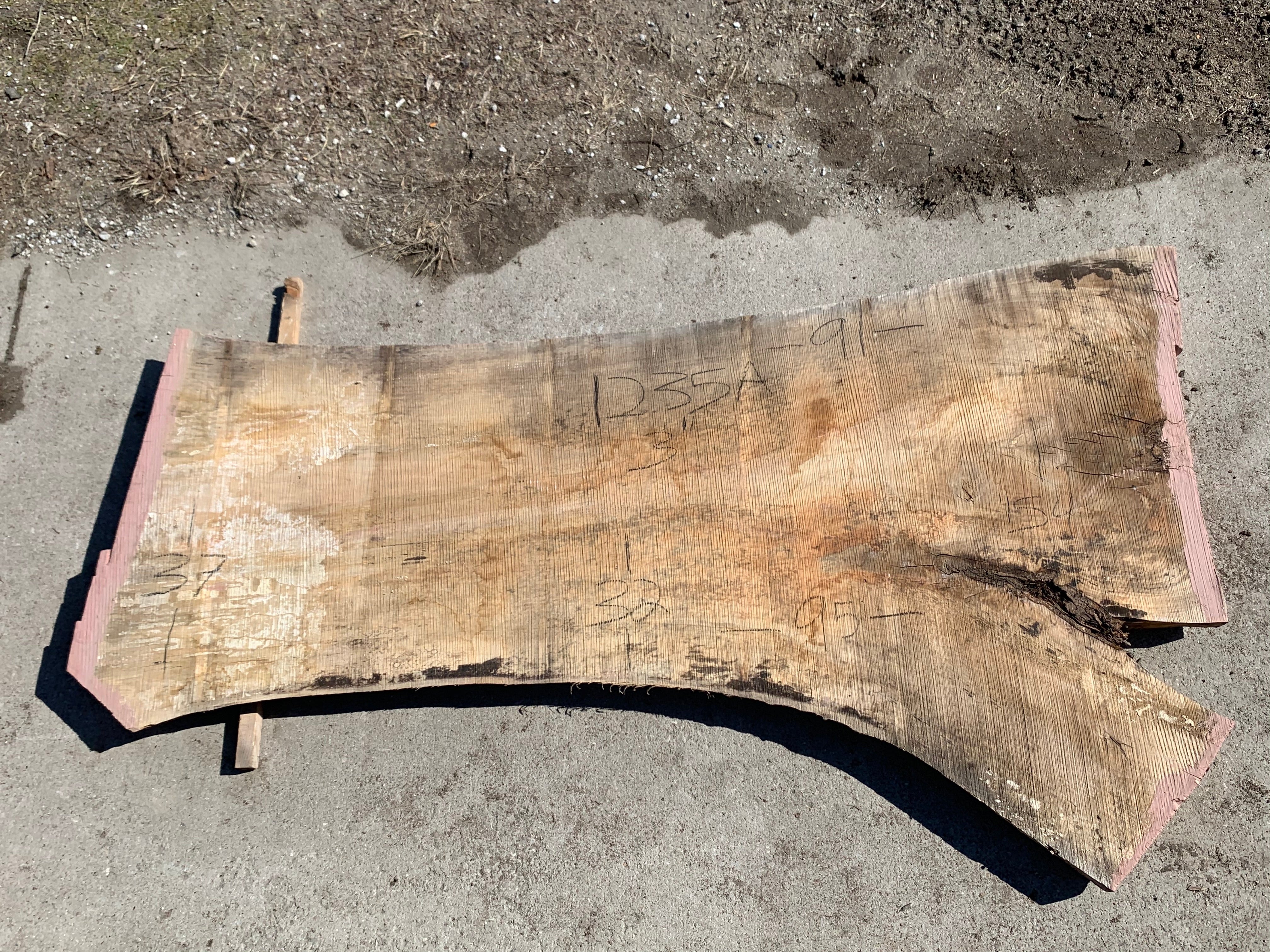 Spalted Soft Maple Slab