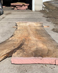 Spalted Soft Maple Slab