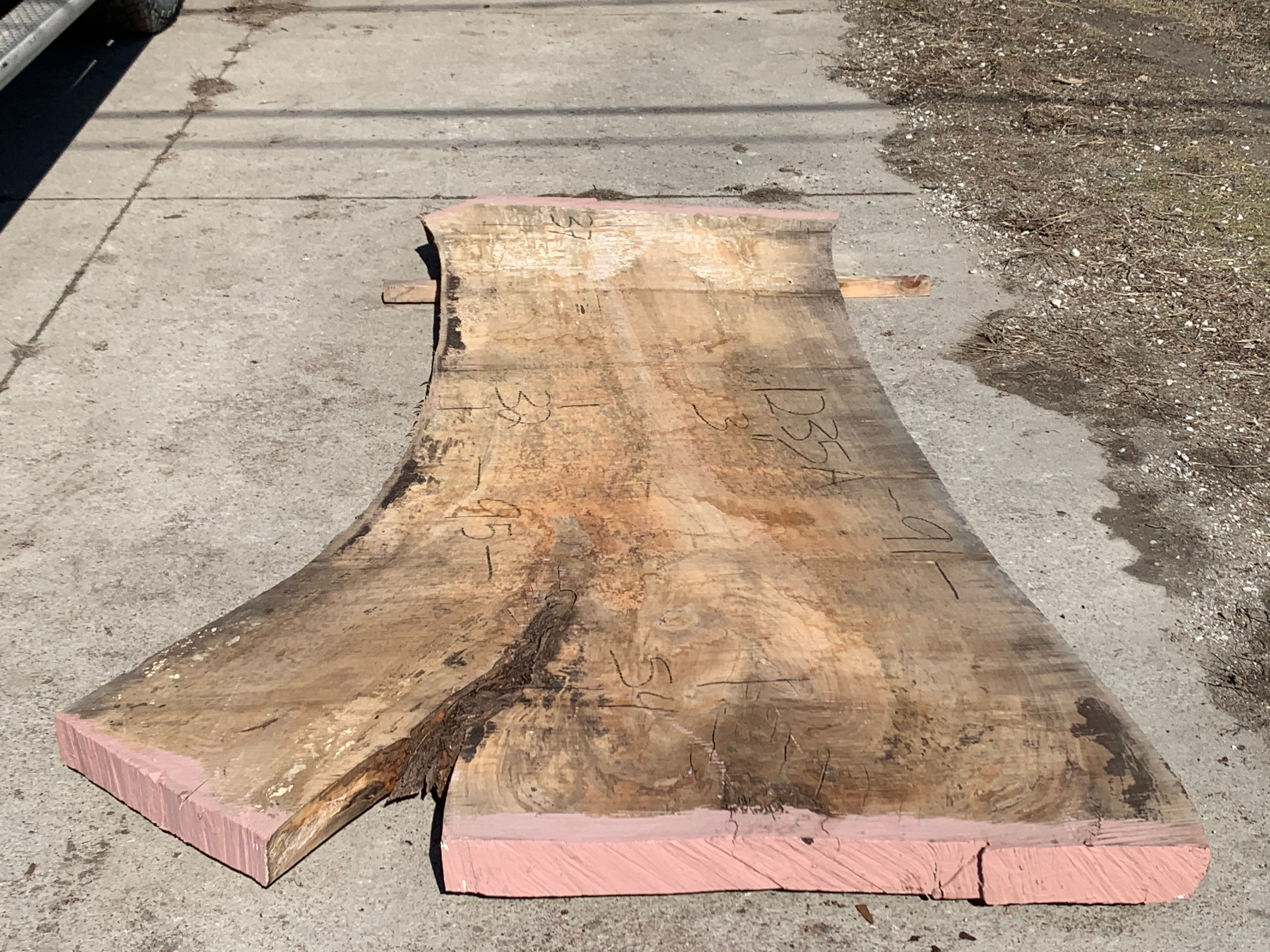 Spalted Soft Maple Slab