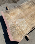 Spalted Soft Maple Slab